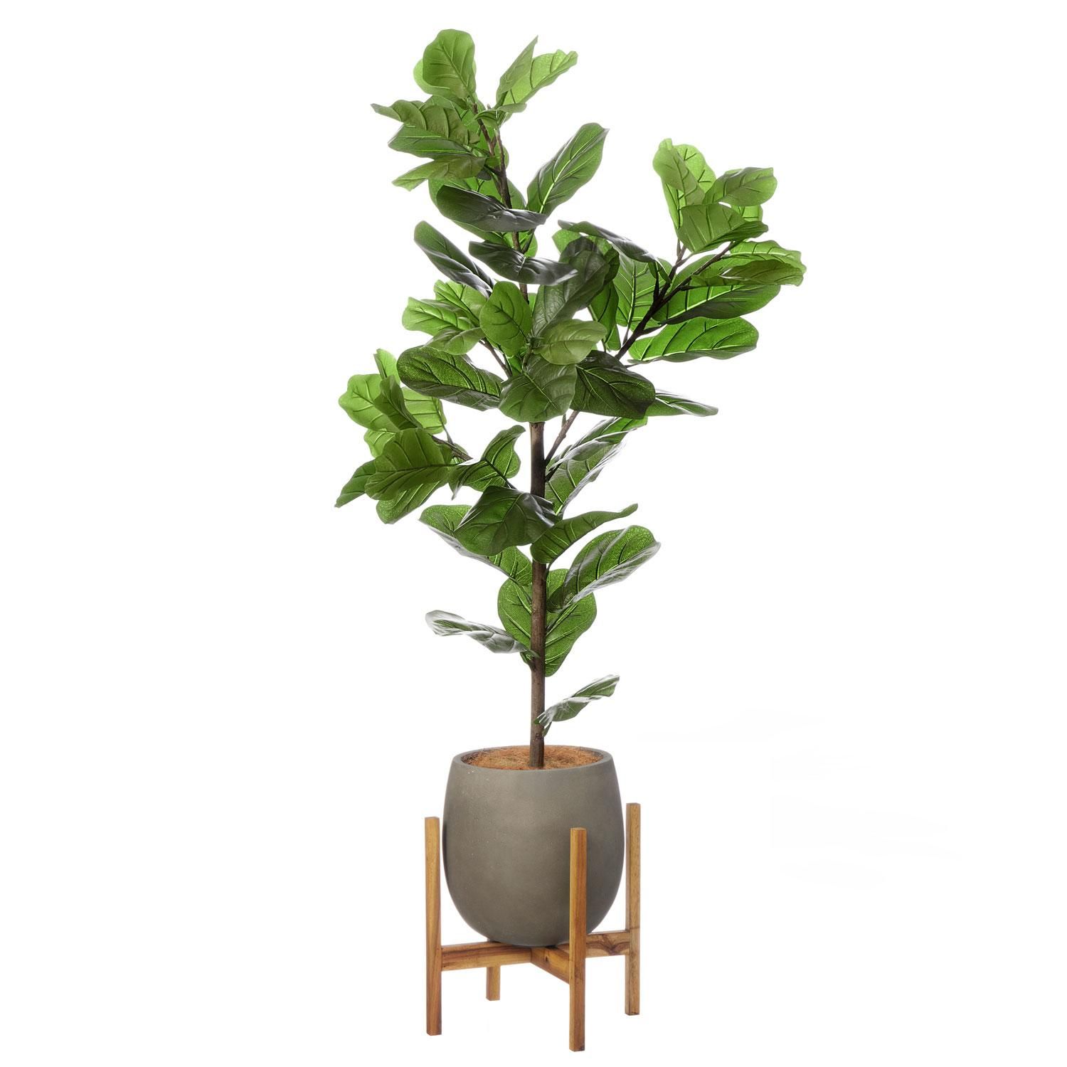 ХΥ åݥåȵ H165cm 졼 տʪ ե꡼ Ҹľʡ<img class='new_mark_img2' src='https://img.shop-pro.jp/img/new/icons1.gif' style='border:none;display:inline;margin:0px;padding:0px;width:auto;' />