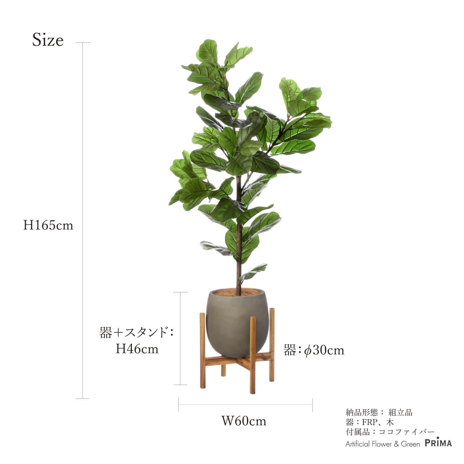 ХΥ åݥåȵ H165cm 졼 տʪ ե꡼ Ҹľʡ<img class='new_mark_img2' src='https://img.shop-pro.jp/img/new/icons1.gif' style='border:none;display:inline;margin:0px;padding:0px;width:auto;' />