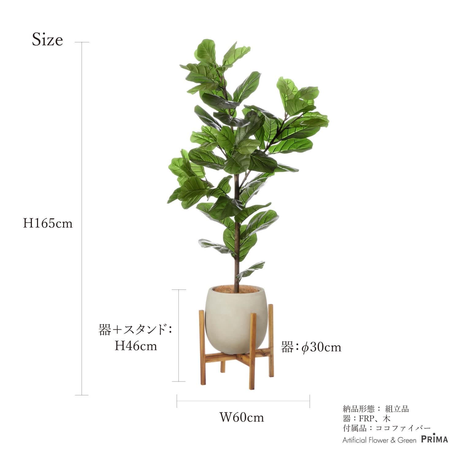 ХΥ åݥåȵ H165cm ܥ꡼ տʪ ե꡼ Ҹľʡ<img class='new_mark_img2' src='https://img.shop-pro.jp/img/new/icons1.gif' style='border:none;display:inline;margin:0px;padding:0px;width:auto;' />