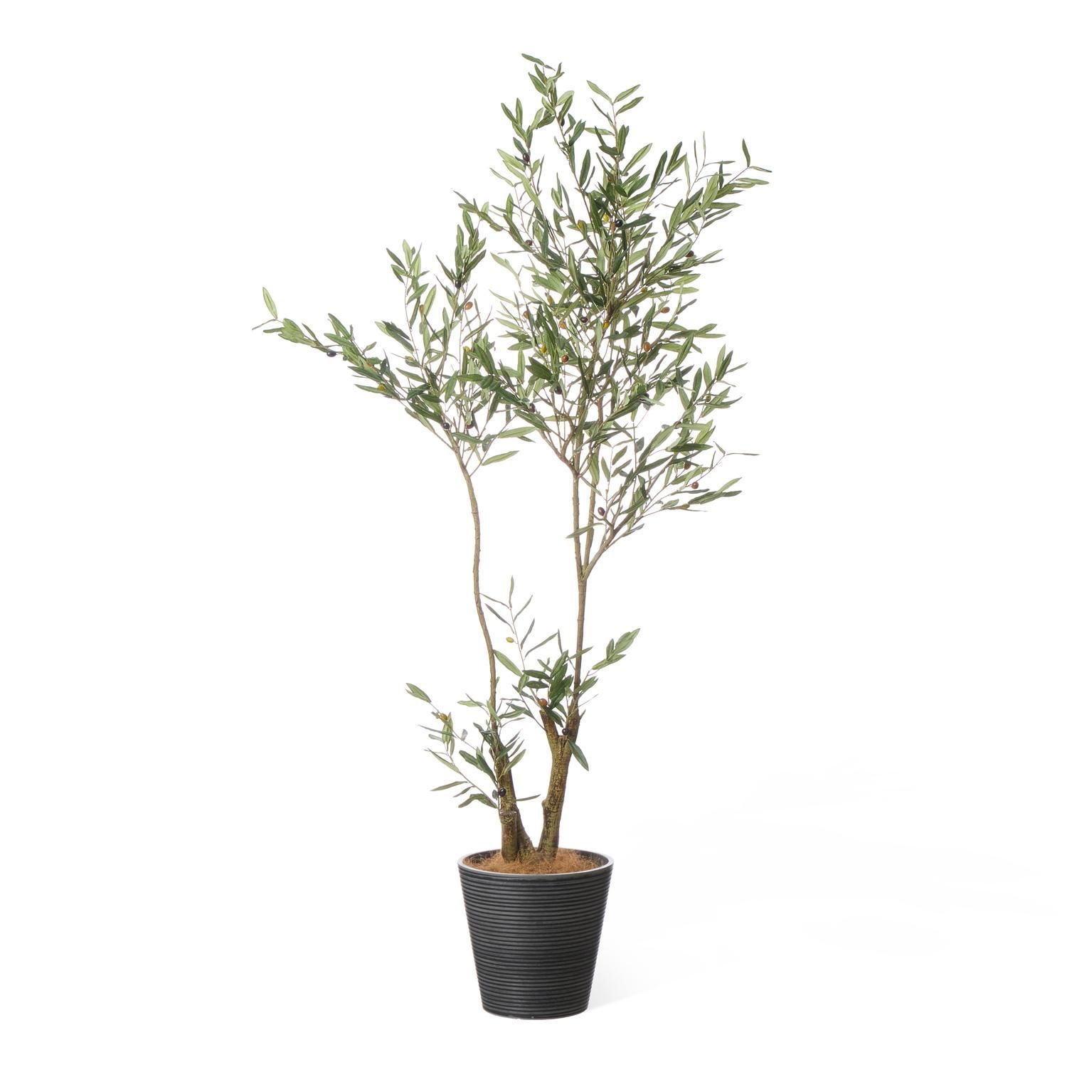 オリーブの観葉植物 フェイクグリーン | 造花専門店プリマ