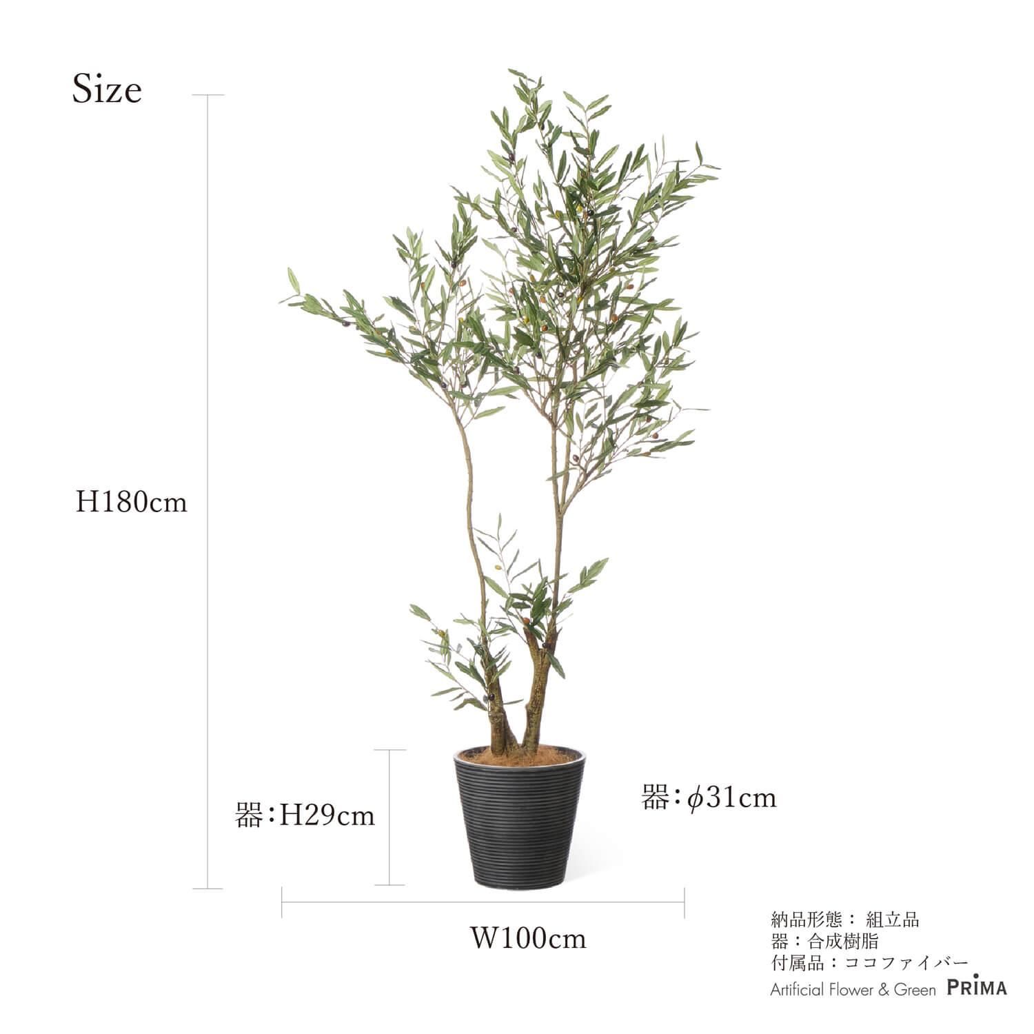 オリーブの観葉植物 フェイクグリーン | 造花専門店プリマ