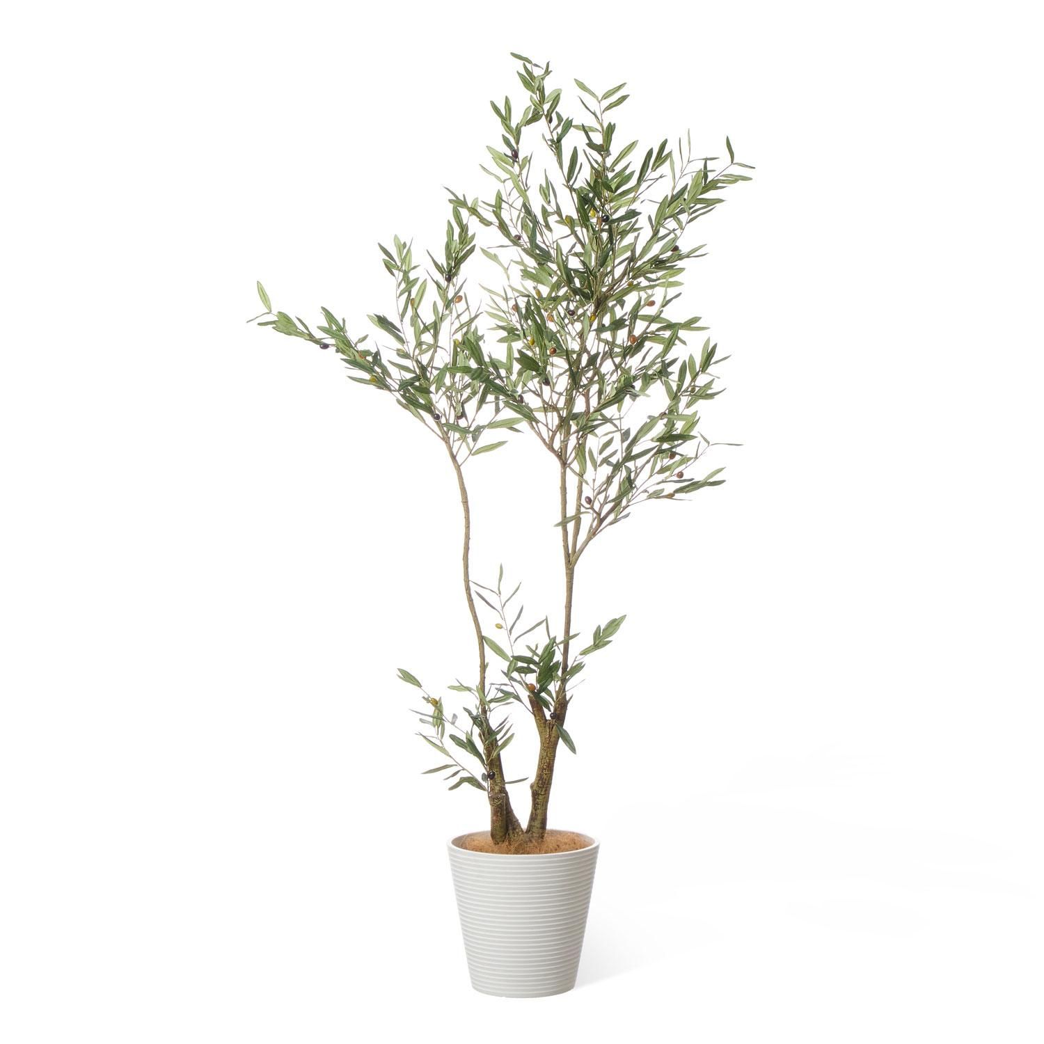 ꡼ GWץ󥿡 H180cm ܡۥ磻 տʪ ե꡼ Ҹľʡ<img class='new_mark_img2' src='https://img.shop-pro.jp/img/new/icons1.gif' style='border:none;display:inline;margin:0px;padding:0px;width:auto;' />