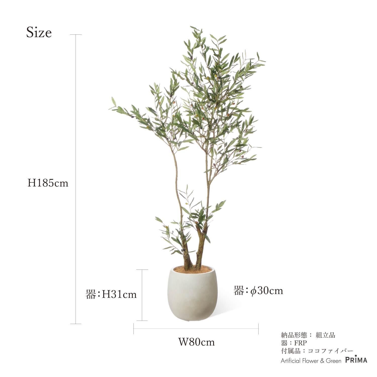 ꡼ åݥå H185cm ܥ꡼ տʪ ե꡼ Ҹľʡ<img class='new_mark_img2' src='https://img.shop-pro.jp/img/new/icons1.gif' style='border:none;display:inline;margin:0px;padding:0px;width:auto;' />