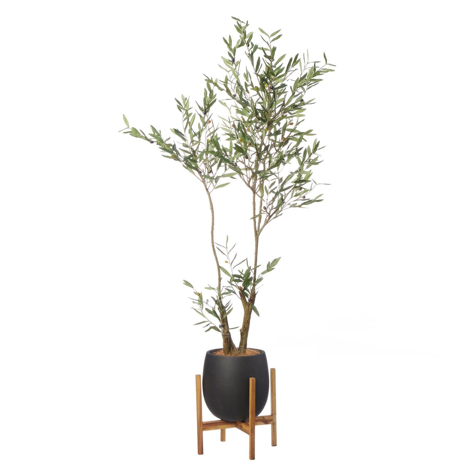 ꡼ åݥåȵ H200cm ֥å տʪ ե꡼ Ҹľʡ<img class='new_mark_img2' src='https://img.shop-pro.jp/img/new/icons1.gif' style='border:none;display:inline;margin:0px;padding:0px;width:auto;' />