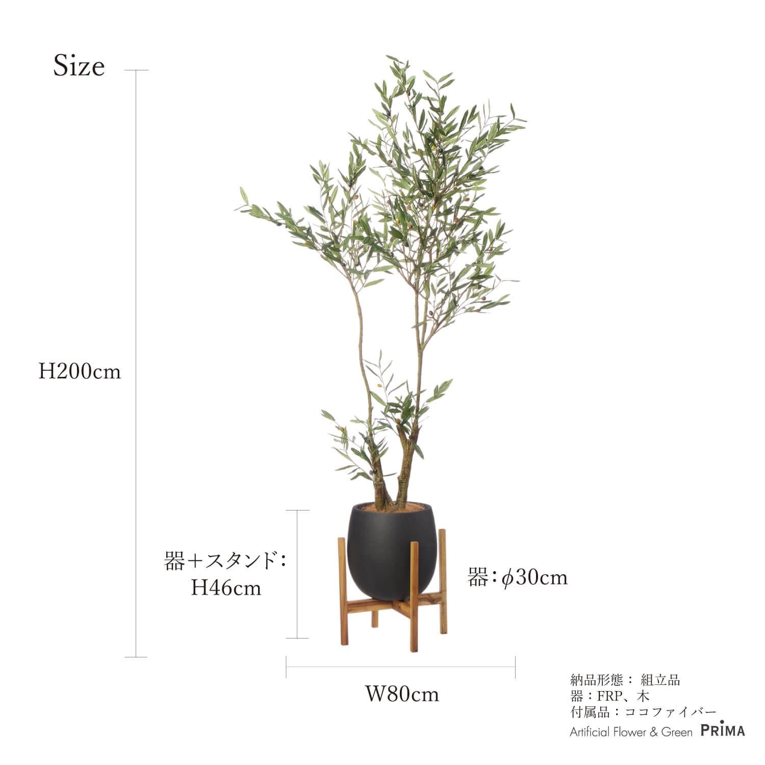 ꡼ åݥåȵ H200cm ֥å տʪ ե꡼ Ҹľʡ<img class='new_mark_img2' src='https://img.shop-pro.jp/img/new/icons1.gif' style='border:none;display:inline;margin:0px;padding:0px;width:auto;' />