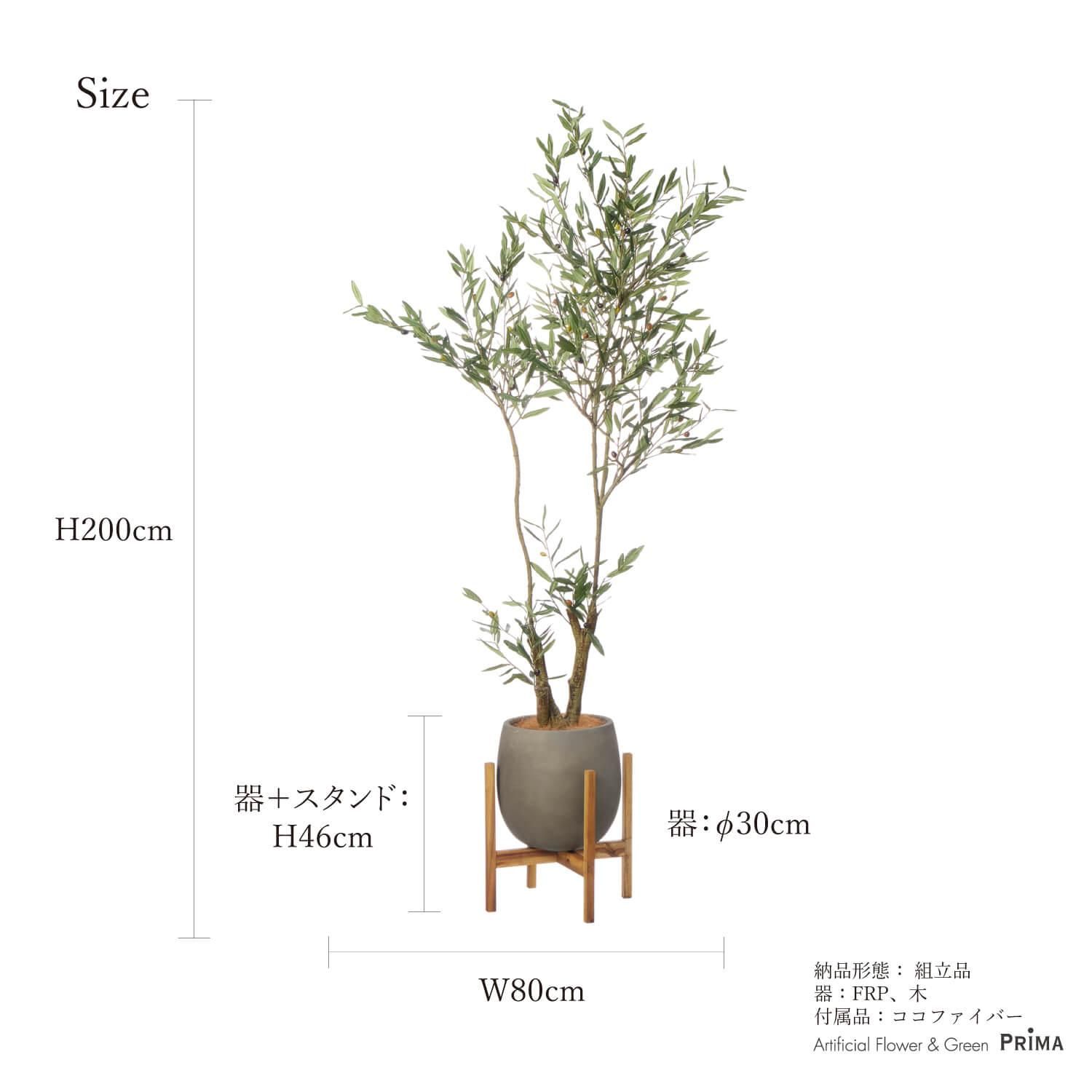꡼ åݥåȵ H200cm 졼 տʪ ե꡼ Ҹľʡ<img class='new_mark_img2' src='https://img.shop-pro.jp/img/new/icons1.gif' style='border:none;display:inline;margin:0px;padding:0px;width:auto;' />