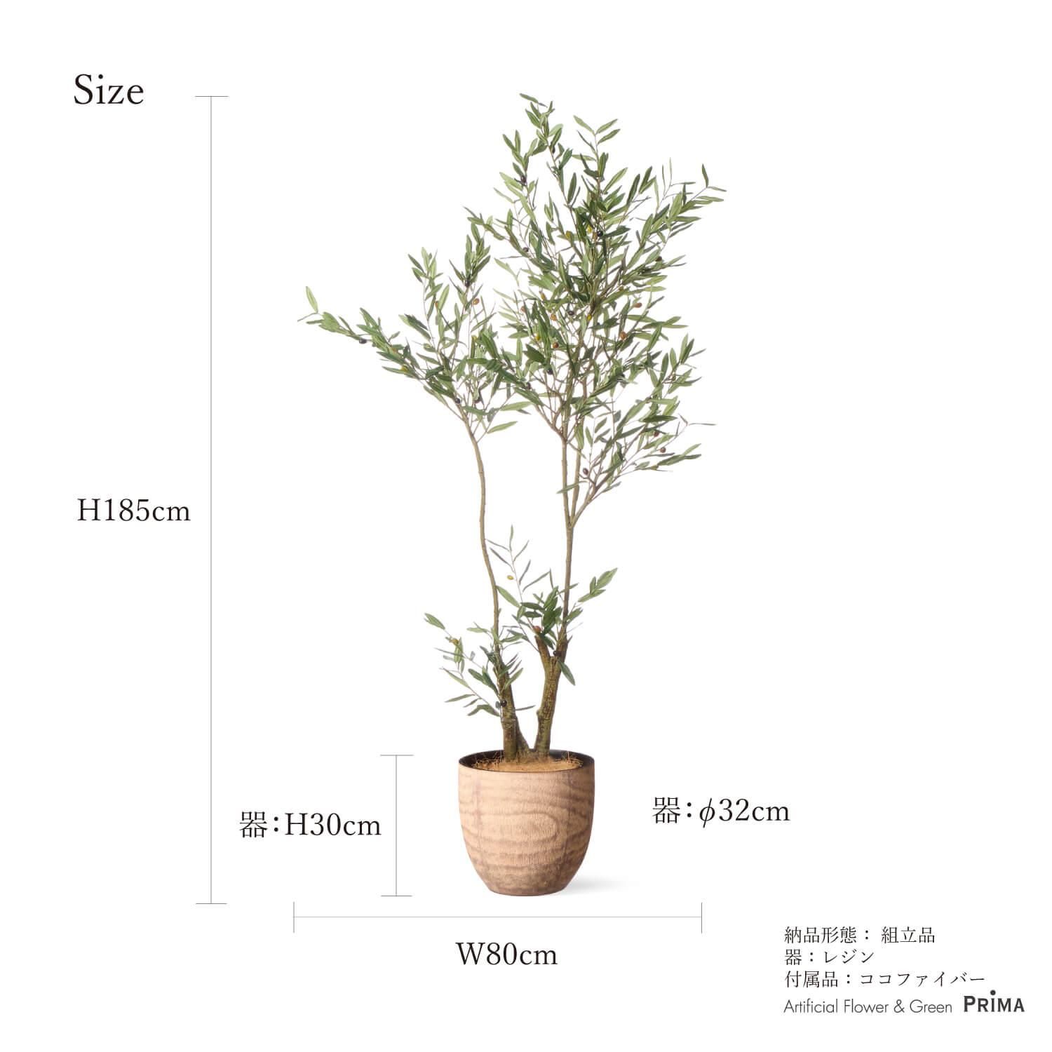 ꡼  åɥݥå H185cm տʪ ե꡼ Ҹľʡ<img class='new_mark_img2' src='https://img.shop-pro.jp/img/new/icons1.gif' style='border:none;display:inline;margin:0px;padding:0px;width:auto;' />