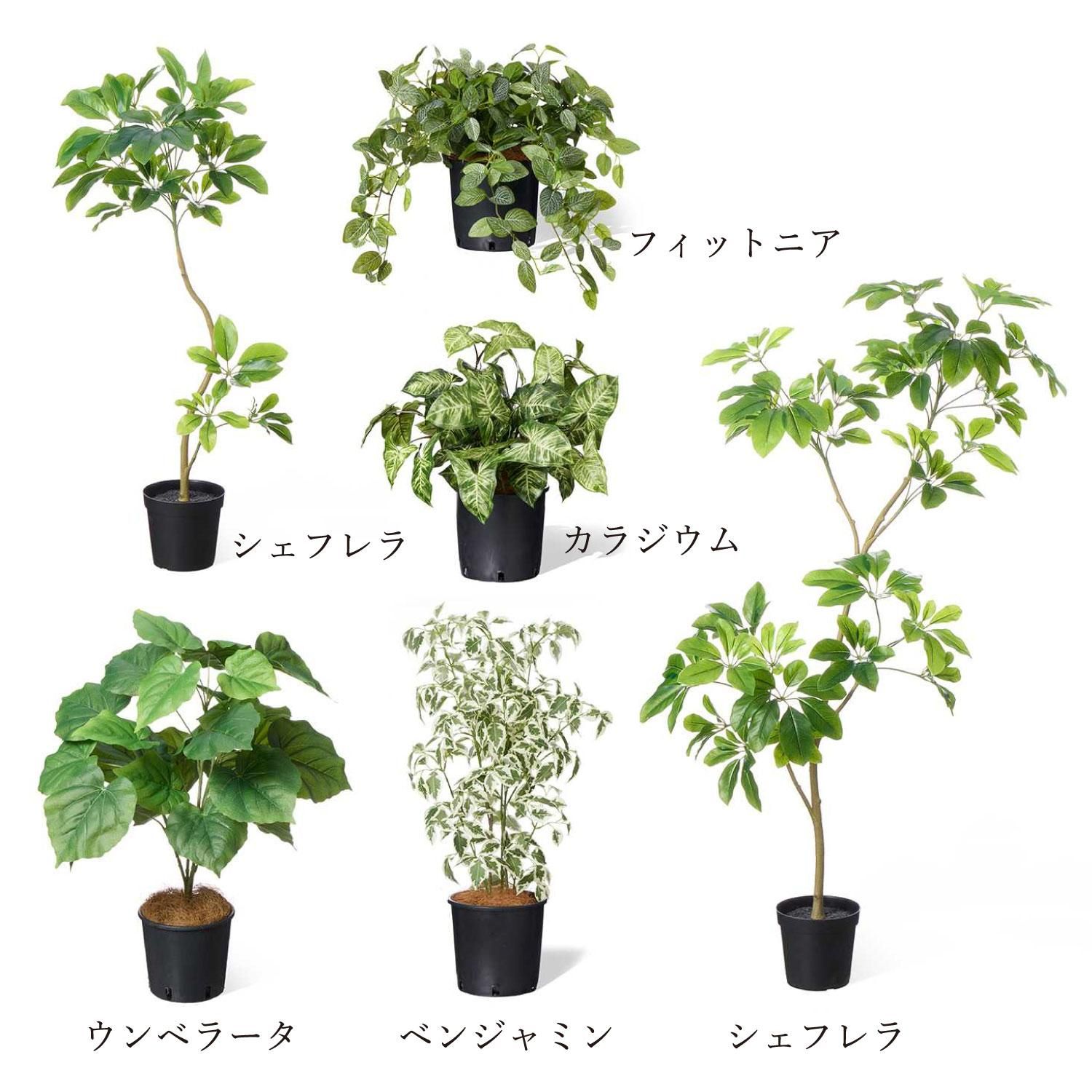 ߥåO ƥ W100cm 饤ȥ졼 ѡơ󥰥꡼ ץ󥿡 Ҹľʡ<img class='new_mark_img2' src='https://img.shop-pro.jp/img/new/icons1.gif' style='border:none;display:inline;margin:0px;padding:0px;width:auto;' />