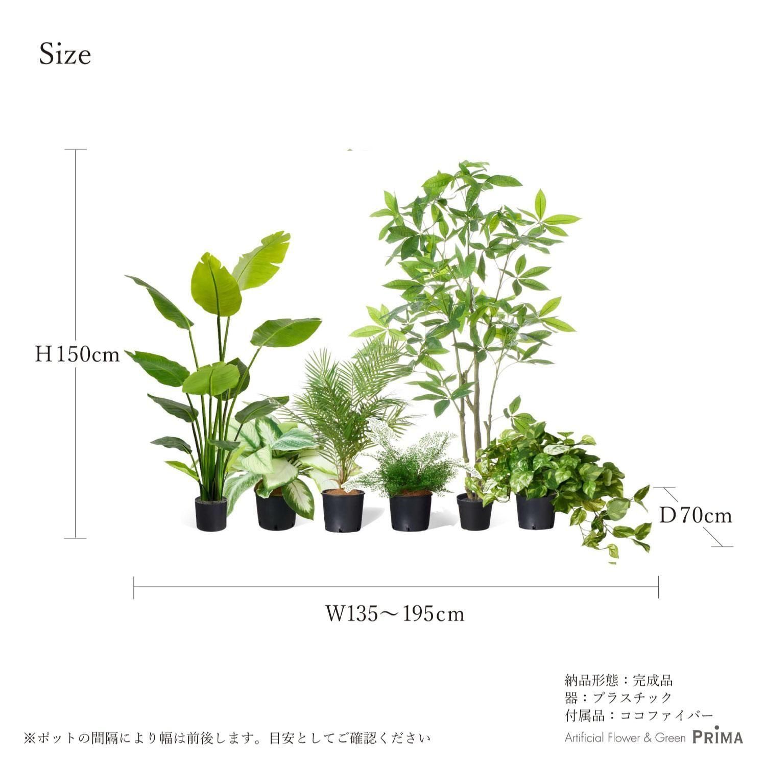 ߥåN ʡݥå 6ĥå տʪ ե꡼ Ҹľʡ<img class='new_mark_img2' src='https://img.shop-pro.jp/img/new/icons1.gif' style='border:none;display:inline;margin:0px;padding:0px;width:auto;' />