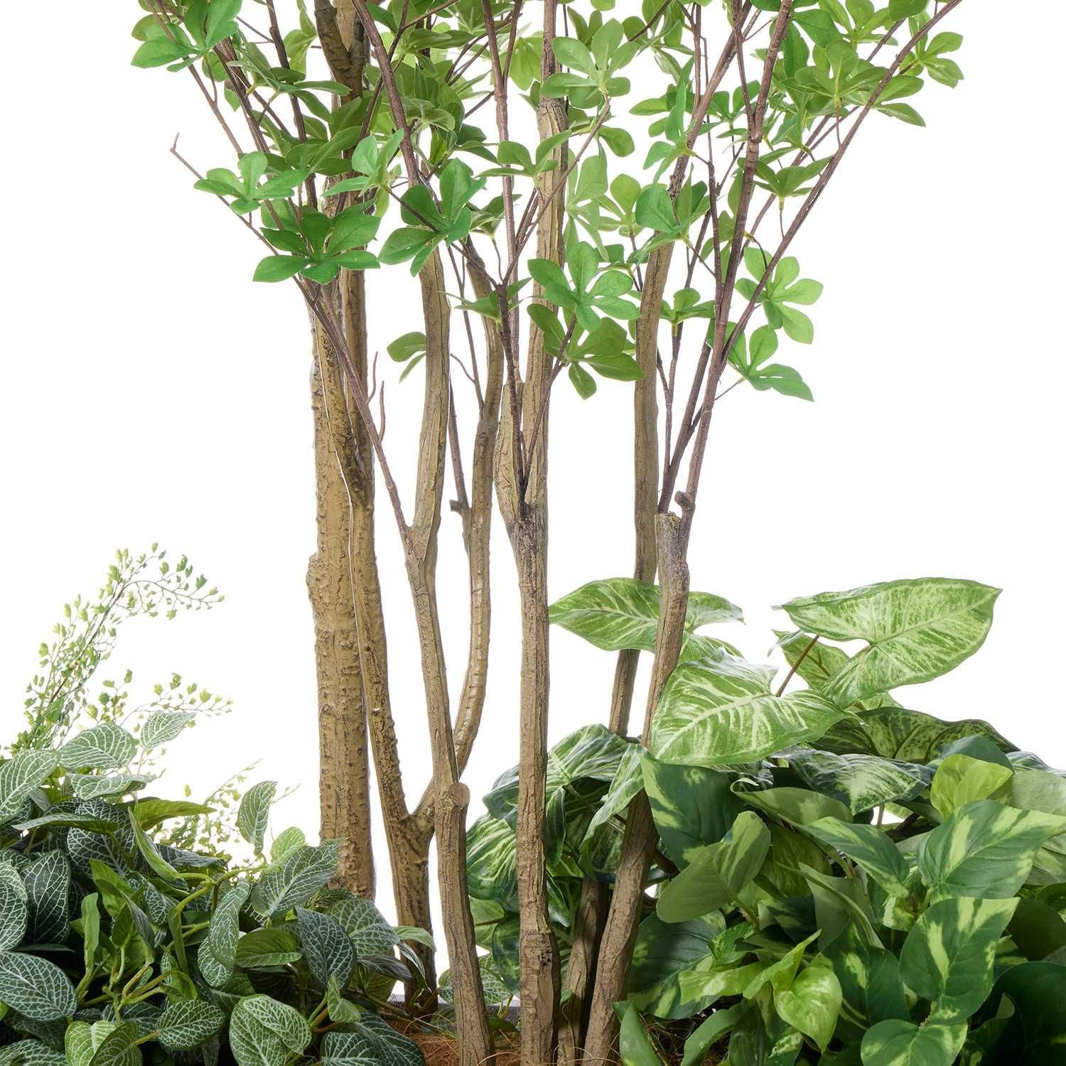 ߥåQ ʡݥå 6ĥå տʪ ե꡼ Ҹľʡ<img class='new_mark_img2' src='https://img.shop-pro.jp/img/new/icons1.gif' style='border:none;display:inline;margin:0px;padding:0px;width:auto;' />