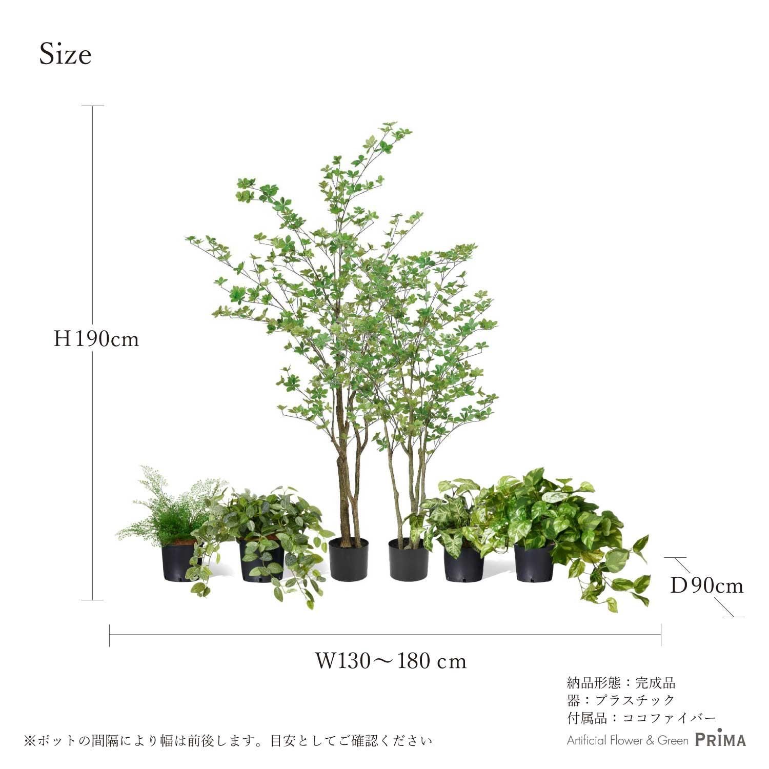 ߥåQ ʡݥå 6ĥå տʪ ե꡼ Ҹľʡ<img class='new_mark_img2' src='https://img.shop-pro.jp/img/new/icons1.gif' style='border:none;display:inline;margin:0px;padding:0px;width:auto;' />