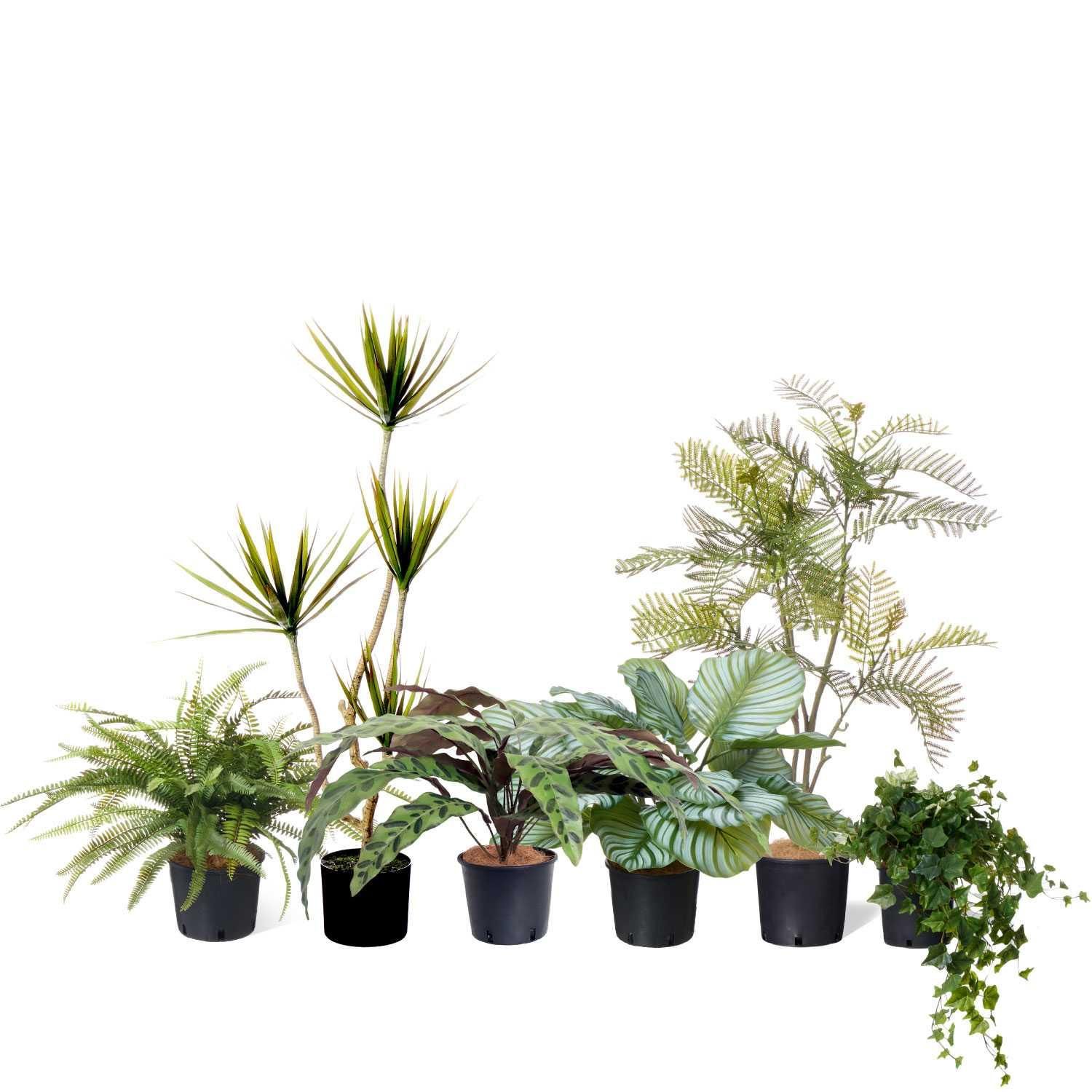 ߥåS ʡݥå 6ĥå տʪ ե꡼ Ҹľʡ<img class='new_mark_img2' src='https://img.shop-pro.jp/img/new/icons1.gif' style='border:none;display:inline;margin:0px;padding:0px;width:auto;' />