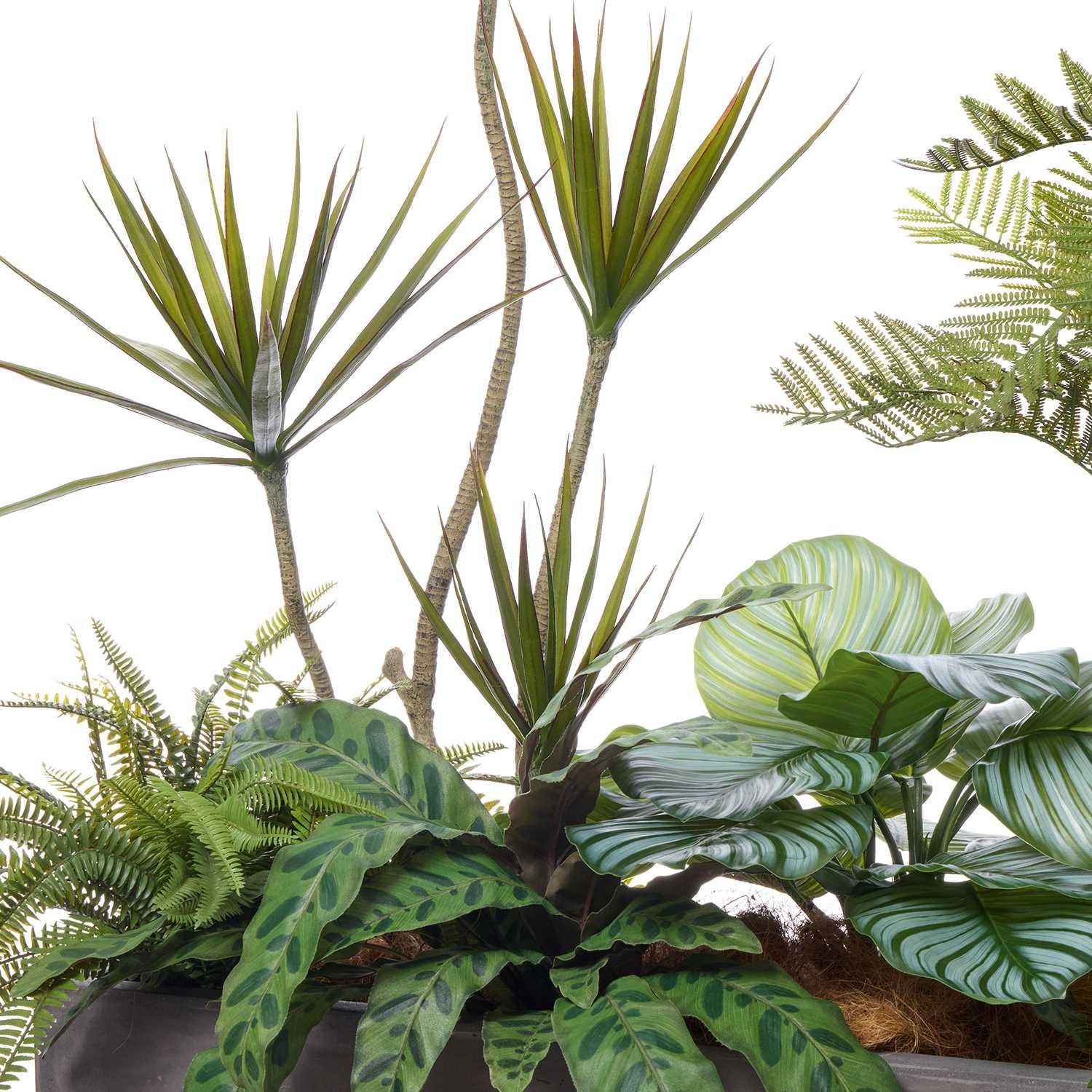 ߥåS ʡݥå 6ĥå տʪ ե꡼ Ҹľʡ<img class='new_mark_img2' src='https://img.shop-pro.jp/img/new/icons1.gif' style='border:none;display:inline;margin:0px;padding:0px;width:auto;' />