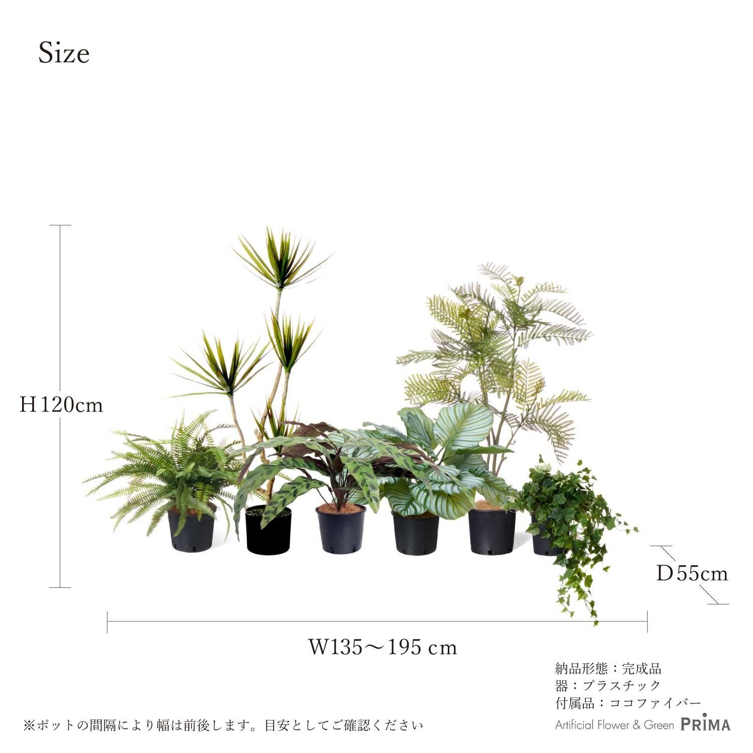 ߥåS ʡݥå 6ĥå տʪ ե꡼ Ҹľʡ<img class='new_mark_img2' src='https://img.shop-pro.jp/img/new/icons1.gif' style='border:none;display:inline;margin:0px;padding:0px;width:auto;' />