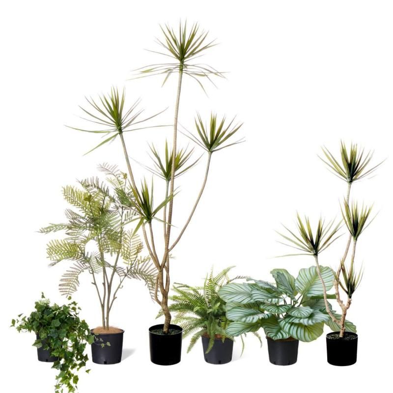 シダ│フェイクグリーン・造花専門店プリマ 通販