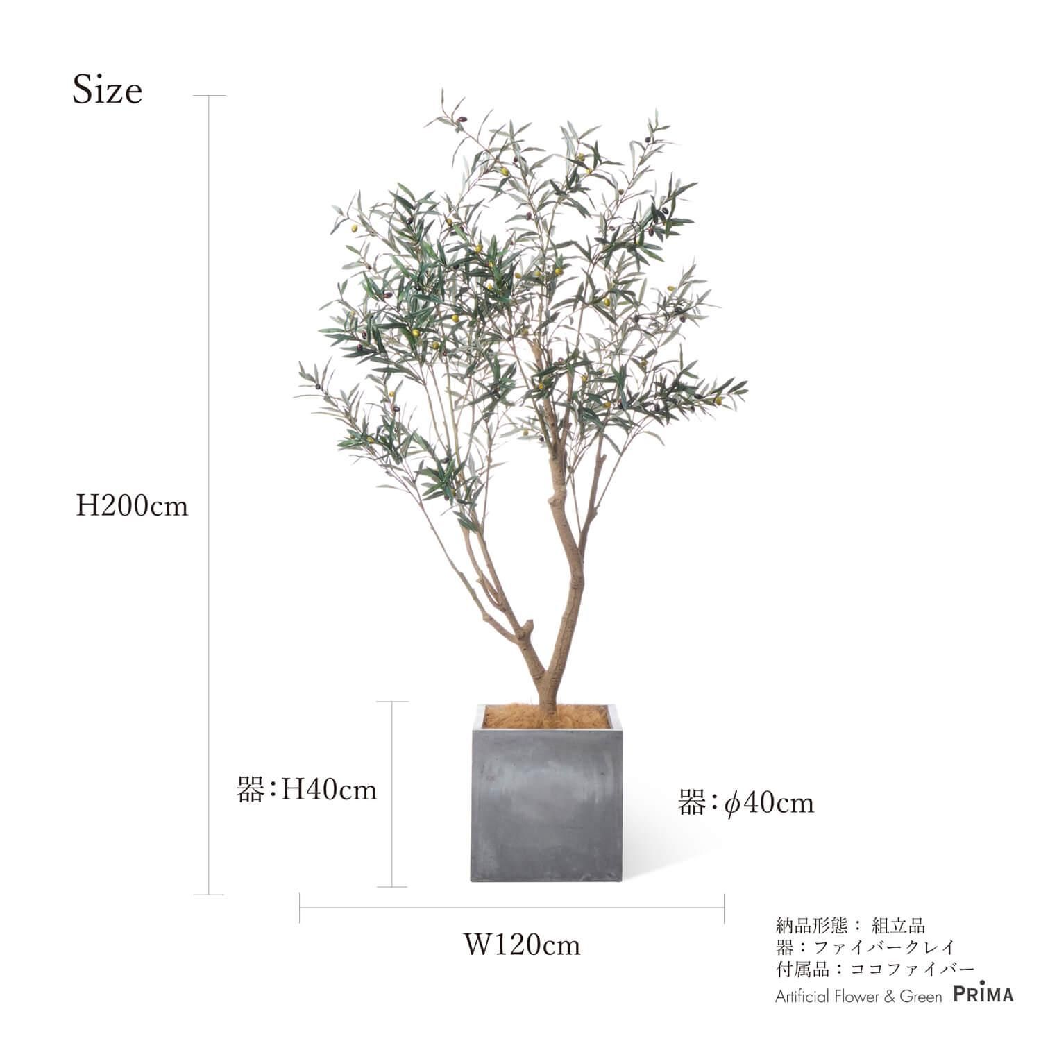 ꡼ 塼 H200cm տʪ ե꡼ Ҹľʡ<img class='new_mark_img2' src='https://img.shop-pro.jp/img/new/icons1.gif' style='border:none;display:inline;margin:0px;padding:0px;width:auto;' />