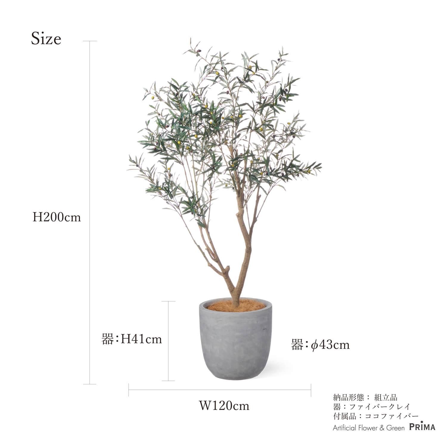 ꡼ 饦 H200cm տʪ ե꡼ Ҹľʡ<img class='new_mark_img2' src='https://img.shop-pro.jp/img/new/icons1.gif' style='border:none;display:inline;margin:0px;padding:0px;width:auto;' />