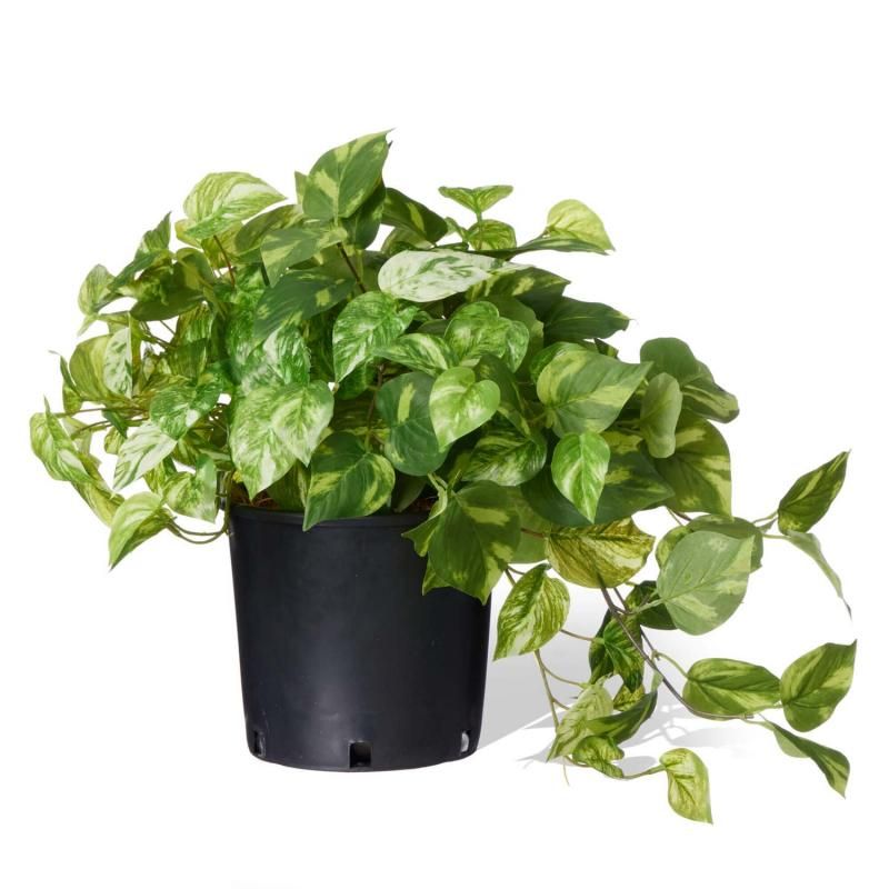 10,001～￥30,000-フェイクグリーン│フェイクグリーン・造花専門店