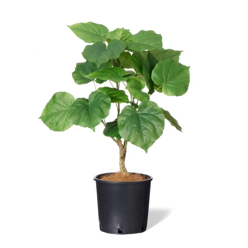 10,001～￥30,000-フェイクグリーン│フェイクグリーン・造花専門店