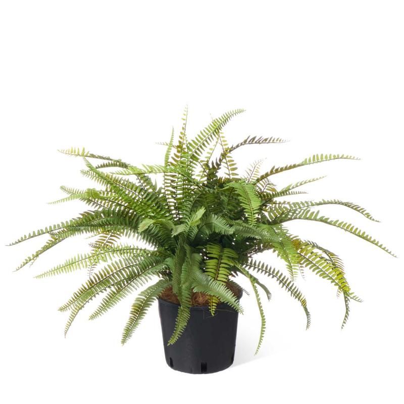 シダ│フェイクグリーン・造花専門店プリマ 通販