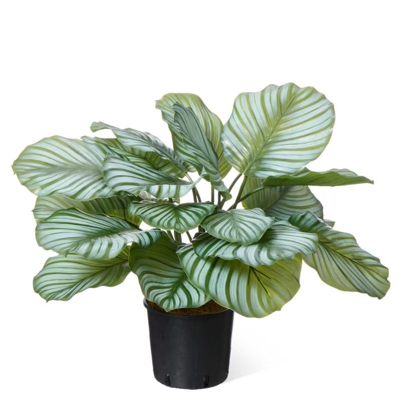 ぷりまページ ツイスト/ラージ/マットホワイト ｜ 【公式】アンテプリマ