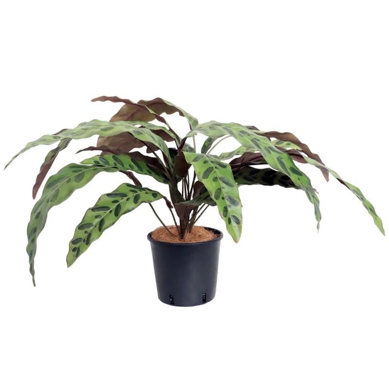 ぷりまページ ツイスト/ラージ/マットホワイト ｜ 【公式】アンテプリマ