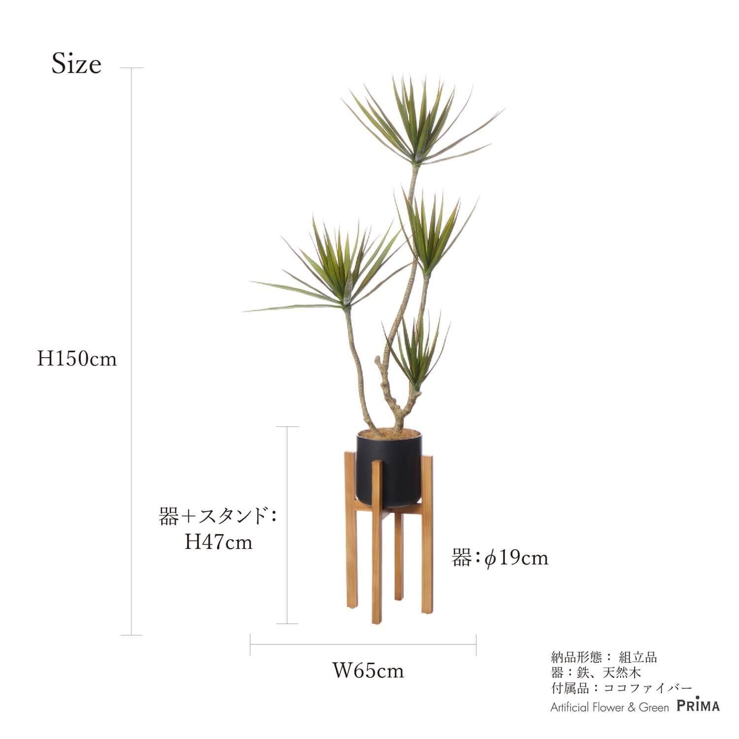 ɥ饻 åɥ H150cm տʪ ե꡼ Ҹľʡ<img class='new_mark_img2' src='https://img.shop-pro.jp/img/new/icons1.gif' style='border:none;display:inline;margin:0px;padding:0px;width:auto;' />