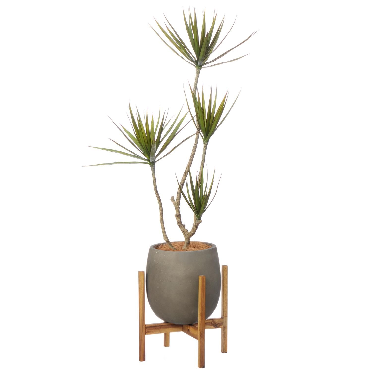 ɥ饻 åݥåȵ H140cm 졼 տʪ ե꡼ Ҹľʡ<img class='new_mark_img2' src='https://img.shop-pro.jp/img/new/icons1.gif' style='border:none;display:inline;margin:0px;padding:0px;width:auto;' />