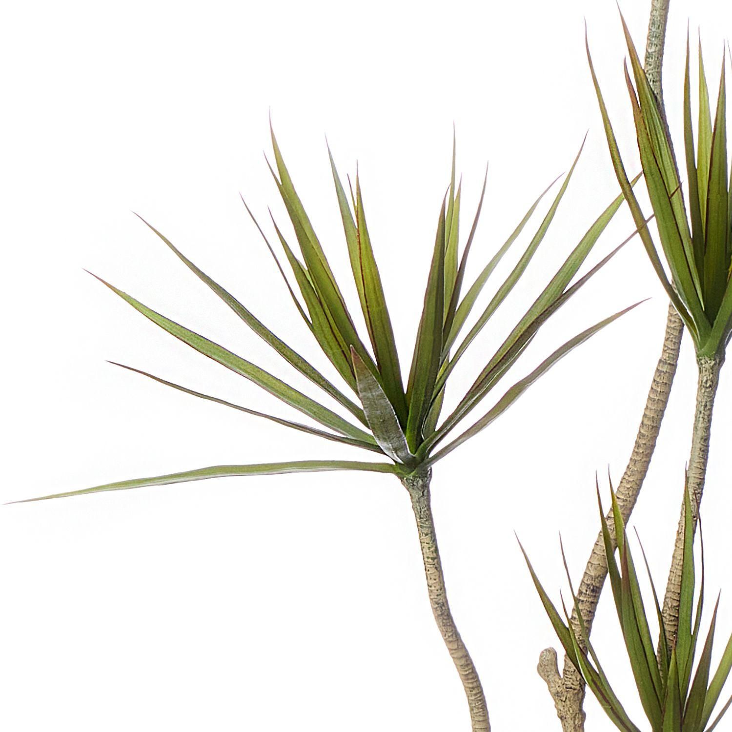 ɥ饻 åݥåȵ H140cm 졼 տʪ ե꡼ Ҹľʡ<img class='new_mark_img2' src='https://img.shop-pro.jp/img/new/icons1.gif' style='border:none;display:inline;margin:0px;padding:0px;width:auto;' />