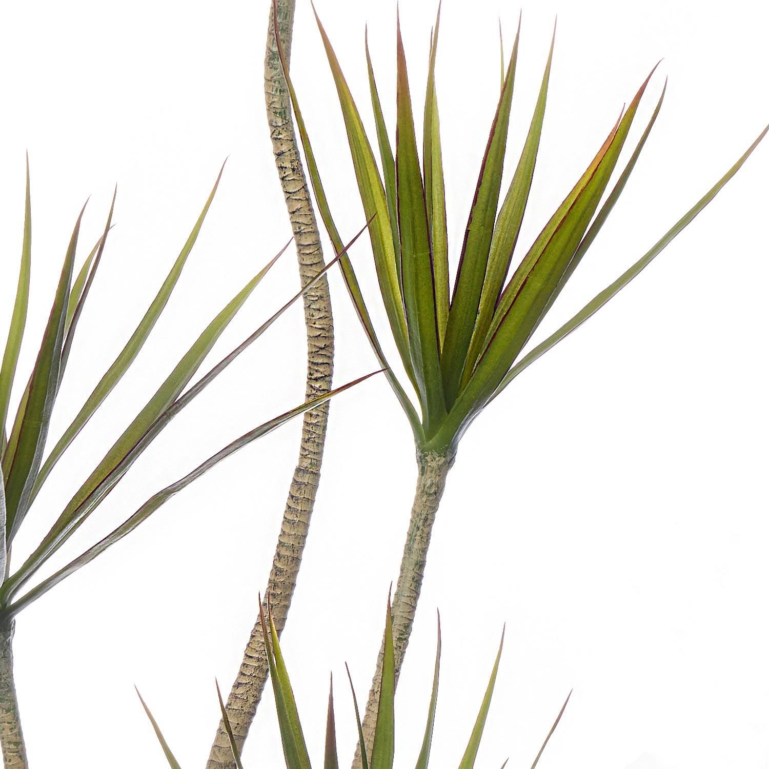 ɥ饻 åݥåȵ H140cm 졼 տʪ ե꡼ Ҹľʡ<img class='new_mark_img2' src='https://img.shop-pro.jp/img/new/icons1.gif' style='border:none;display:inline;margin:0px;padding:0px;width:auto;' />