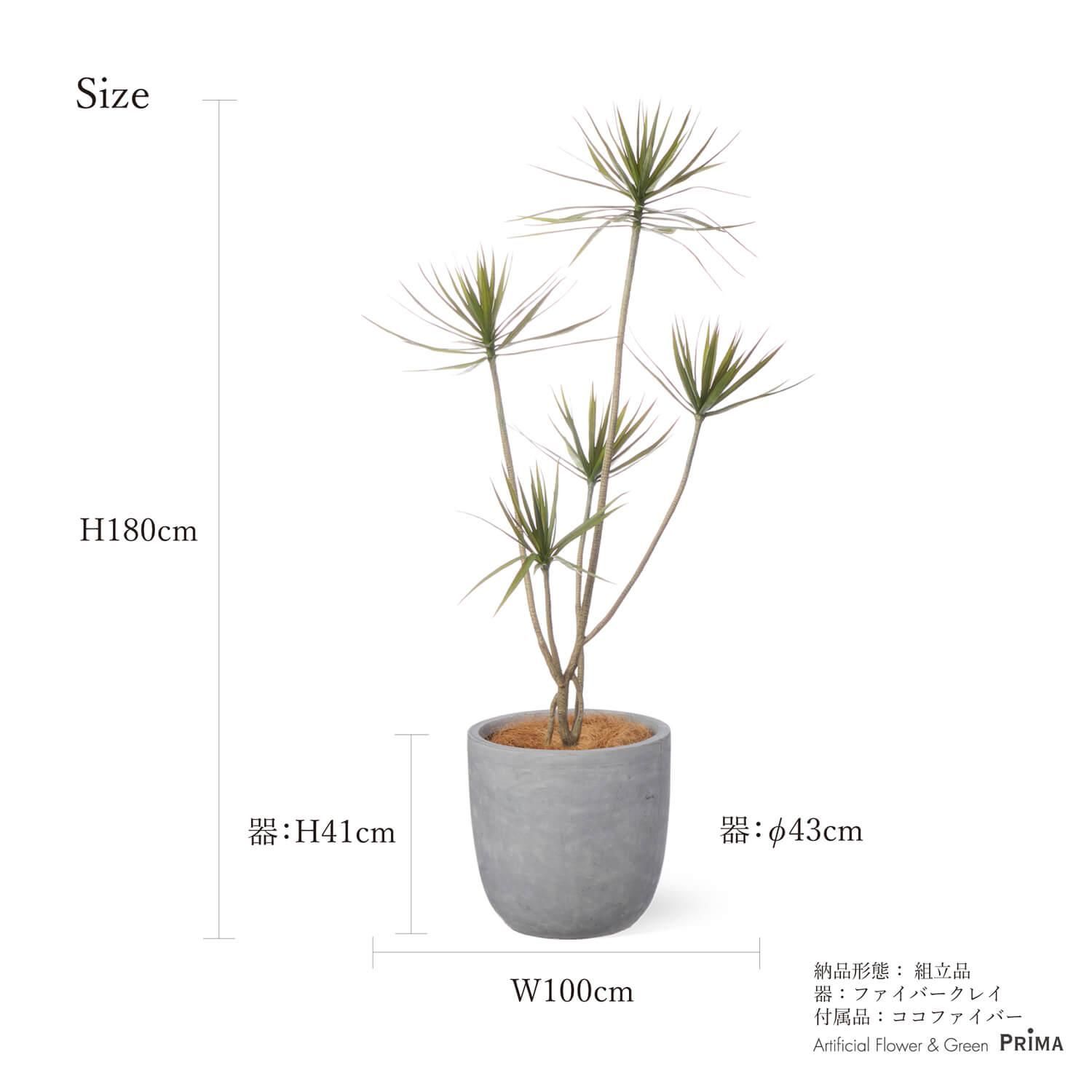 ɥ饻 饦 H180cm տʪ ե꡼ Ҹľʡ<img class='new_mark_img2' src='https://img.shop-pro.jp/img/new/icons1.gif' style='border:none;display:inline;margin:0px;padding:0px;width:auto;' />