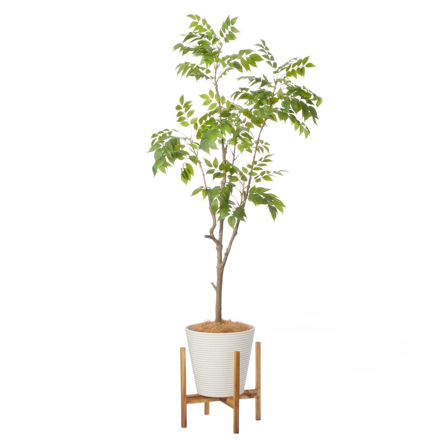 ハゼの木 GWプランター ボーダーホワイト脚付 の観葉植物 フェイク