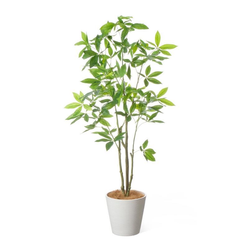 GREENPARK新商品2025 空間を演出する最新アーティフィシャルグリーン