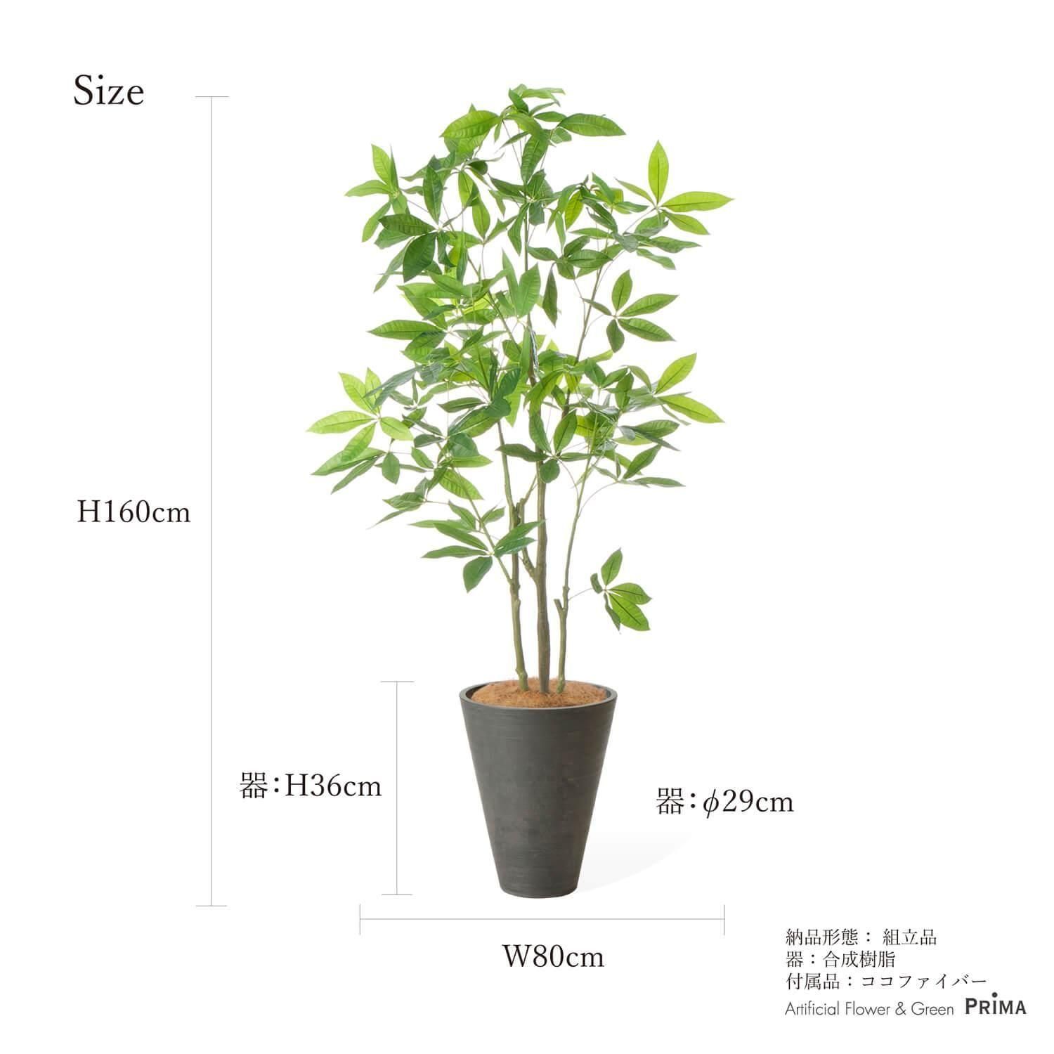 ѥ GWץ󥿡 H160cm 졼 տʪ ե꡼ Ҹľʡ<img class='new_mark_img2' src='https://img.shop-pro.jp/img/new/icons1.gif' style='border:none;display:inline;margin:0px;padding:0px;width:auto;' />