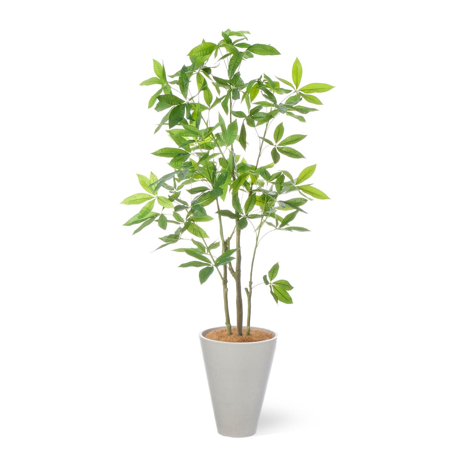 光触媒 人工観葉植物 ウォールグリーン フェイクグリーン パキラ15767