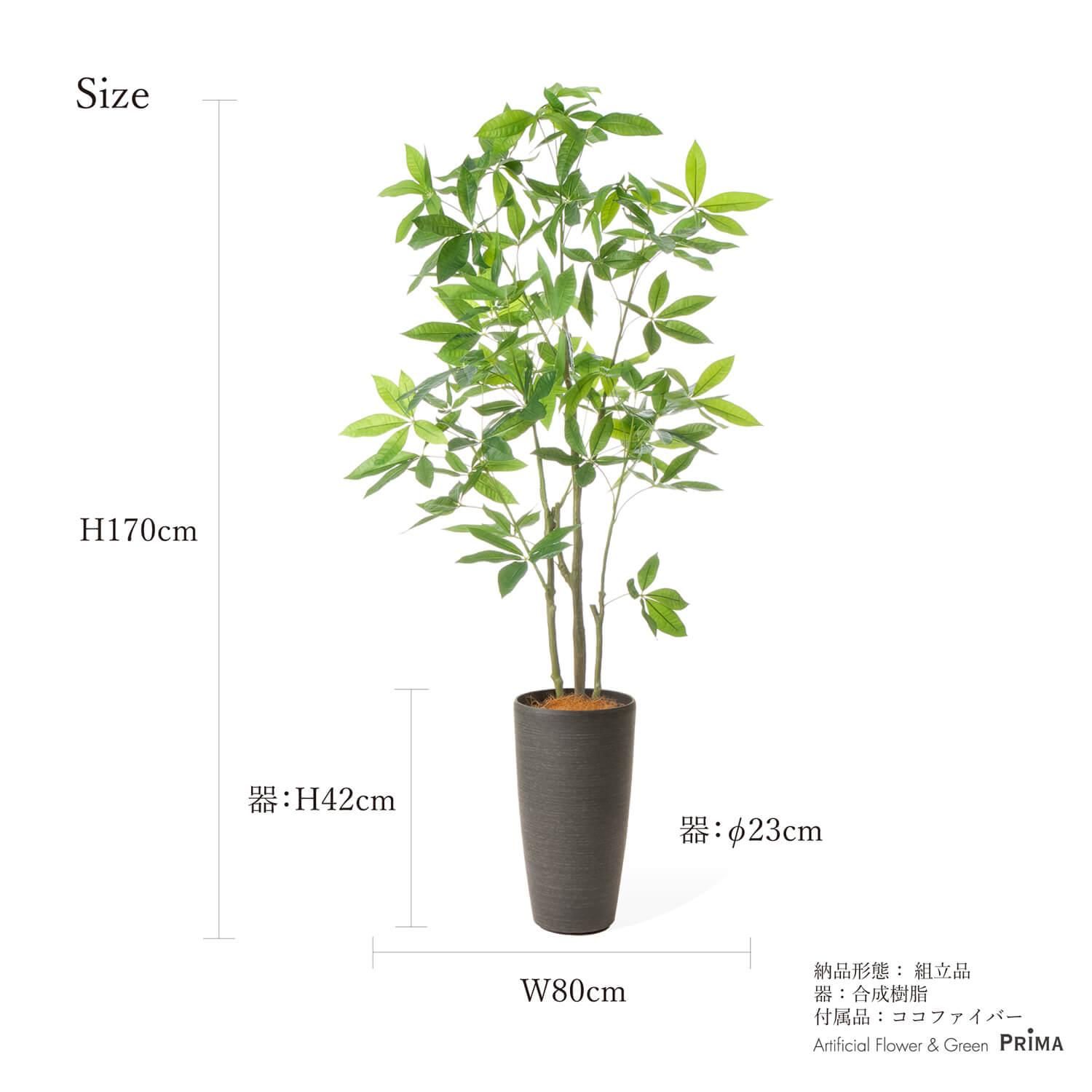 ѥ  TPץ󥿡 H170cm  տʪ ե꡼ Ҹľʡ<img class='new_mark_img2' src='https://img.shop-pro.jp/img/new/icons1.gif' style='border:none;display:inline;margin:0px;padding:0px;width:auto;' />