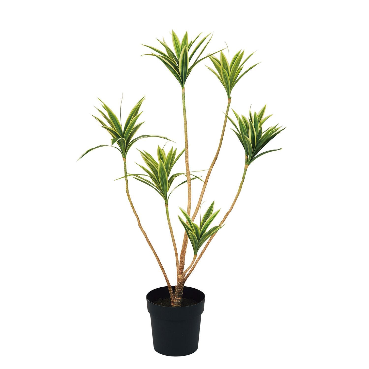 ɥ饻 ʡݥå110cm տʪ ե꡼ eco Ҹľʡ<img class='new_mark_img2' src='https://img.shop-pro.jp/img/new/icons1.gif' style='border:none;display:inline;margin:0px;padding:0px;width:auto;' />