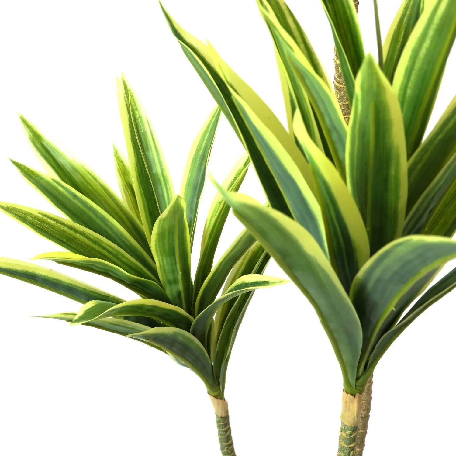 ɥ饻 ʡݥå110cm տʪ ե꡼ eco Ҹľʡ<img class='new_mark_img2' src='https://img.shop-pro.jp/img/new/icons1.gif' style='border:none;display:inline;margin:0px;padding:0px;width:auto;' />