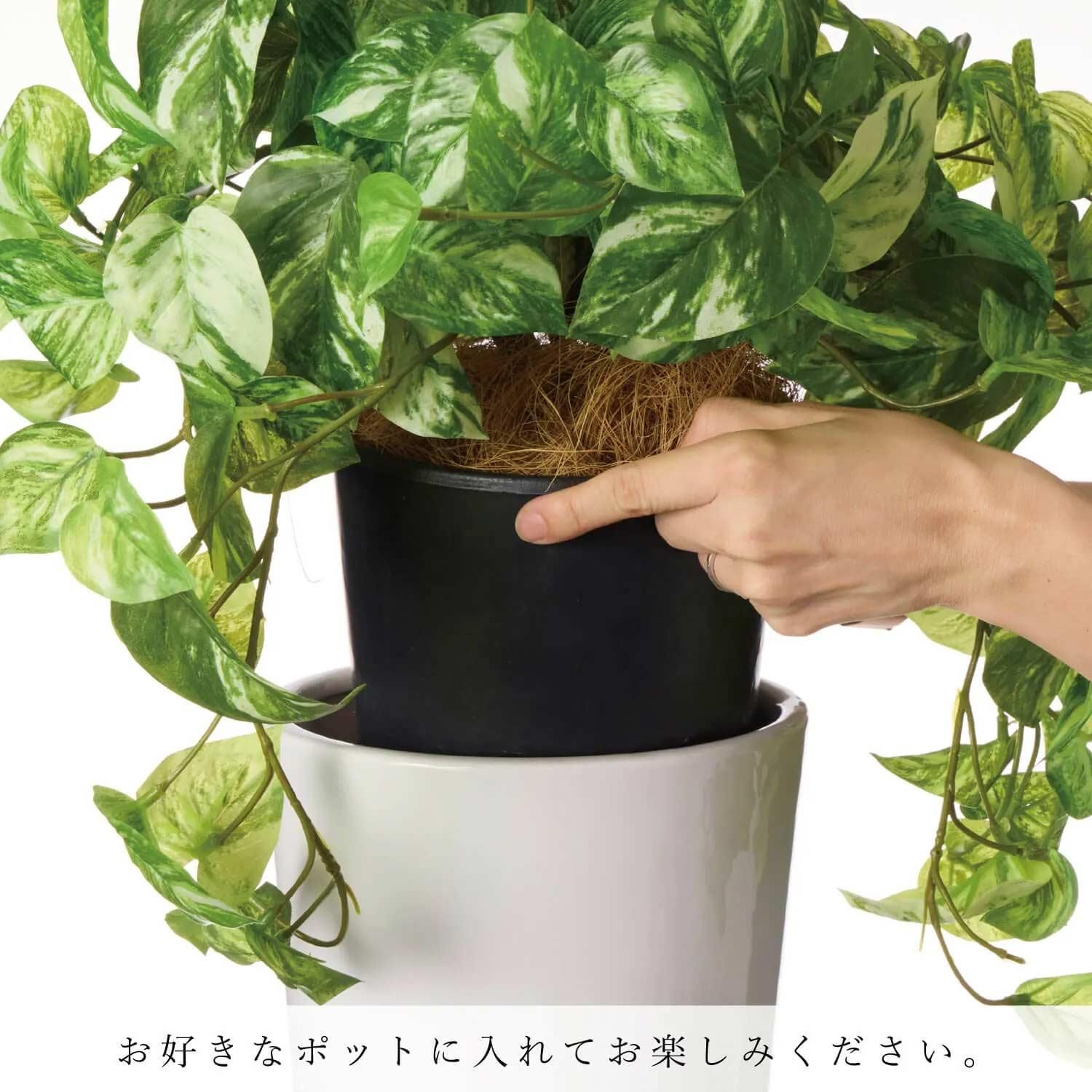 ɥ饻 ʡݥå110cm տʪ ե꡼ eco Ҹľʡ<img class='new_mark_img2' src='https://img.shop-pro.jp/img/new/icons1.gif' style='border:none;display:inline;margin:0px;padding:0px;width:auto;' />