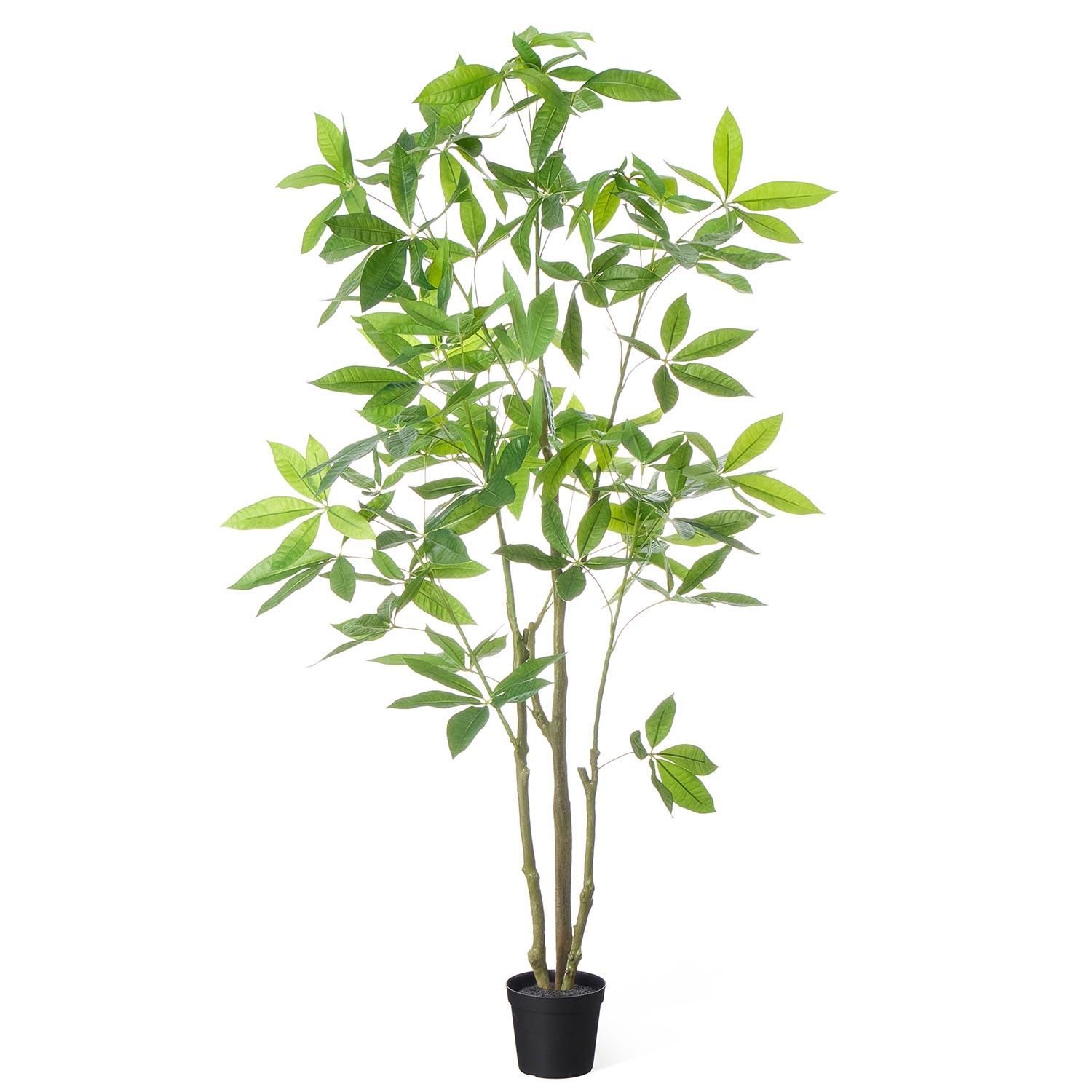 ѥ ʡݥå H150cm տʪ ե꡼ Ҹľʡ<img class='new_mark_img2' src='https://img.shop-pro.jp/img/new/icons1.gif' style='border:none;display:inline;margin:0px;padding:0px;width:auto;' />