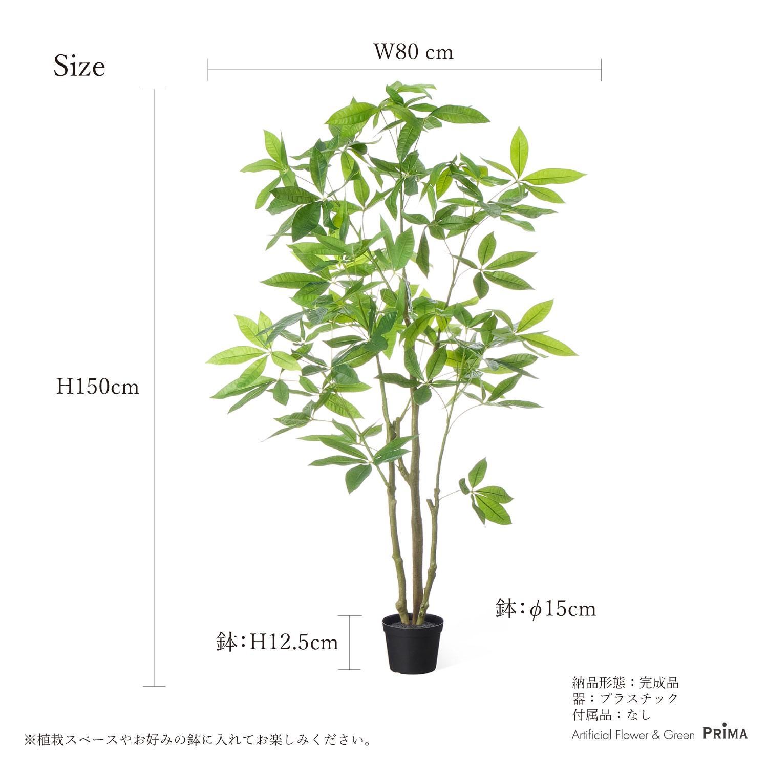 ѥ ʡݥå H150cm տʪ ե꡼ Ҹľʡ<img class='new_mark_img2' src='https://img.shop-pro.jp/img/new/icons1.gif' style='border:none;display:inline;margin:0px;padding:0px;width:auto;' />