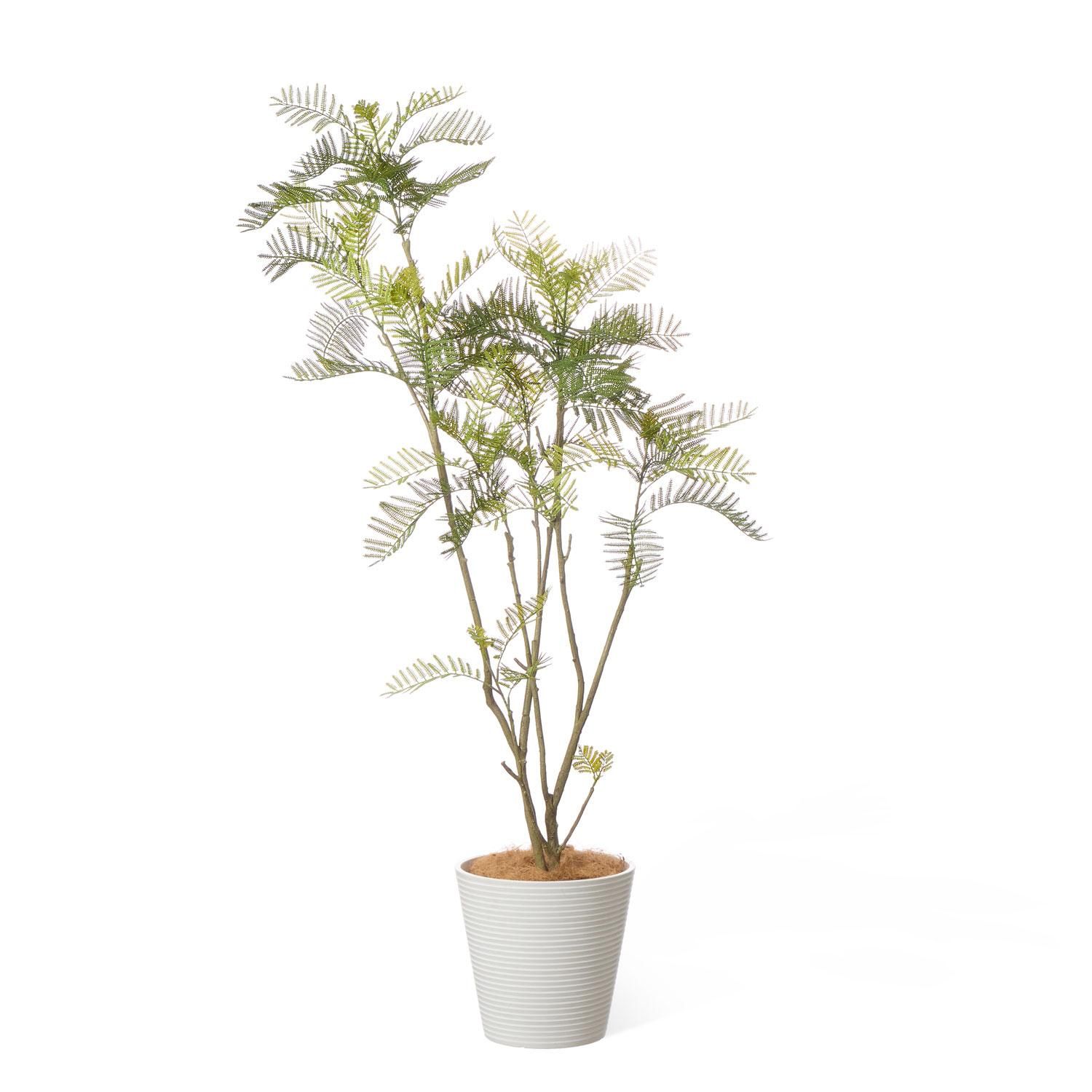 エバーフレッシュ GWプランター ボーダーホワイトの観葉植物 フェイク