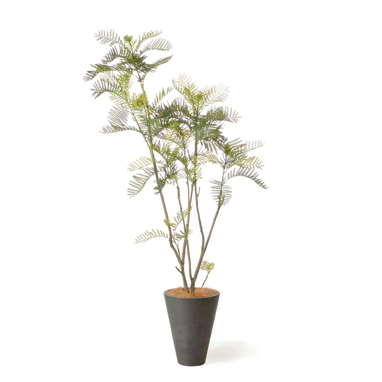 Сեå GWץ󥿡 H160cm 졼 տʪ ե꡼ Ҹľʡ<img class='new_mark_img2' src='https://img.shop-pro.jp/img/new/icons1.gif' style='border:none;display:inline;margin:0px;padding:0px;width:auto;' />