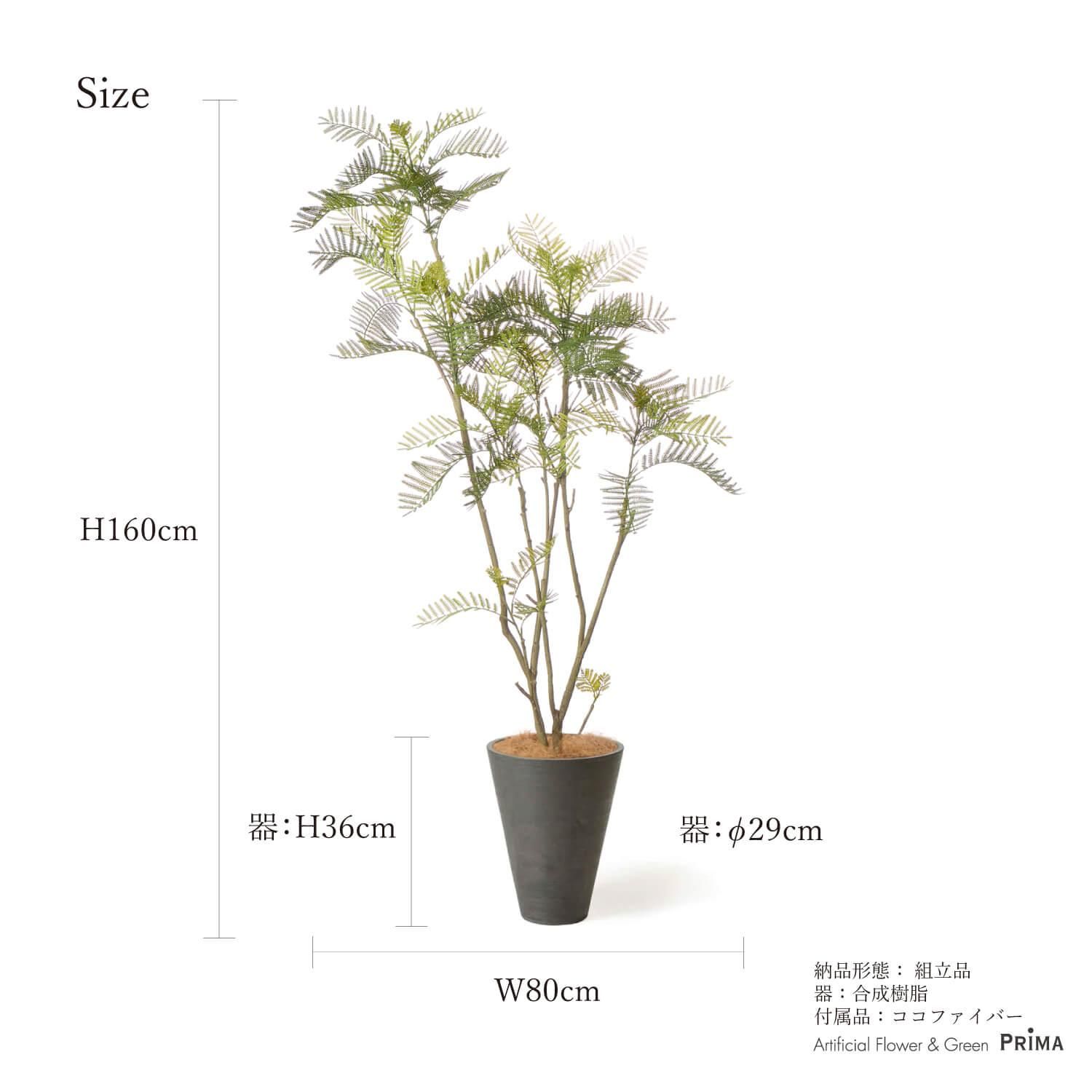 Сեå GWץ󥿡 H160cm 졼 տʪ ե꡼ Ҹľʡ<img class='new_mark_img2' src='https://img.shop-pro.jp/img/new/icons1.gif' style='border:none;display:inline;margin:0px;padding:0px;width:auto;' />