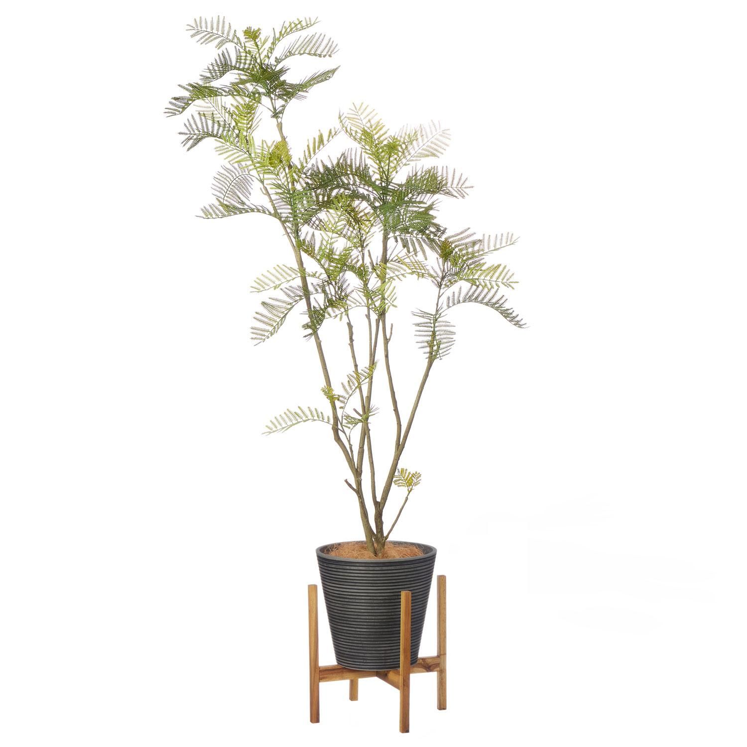 Сեå  GWץ󥿡 H175cm ܡ졼 տʪ ե꡼ Ҹľʡ<img class='new_mark_img2' src='https://img.shop-pro.jp/img/new/icons1.gif' style='border:none;display:inline;margin:0px;padding:0px;width:auto;' />