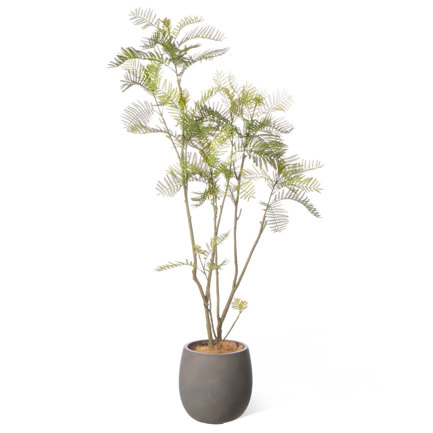 Сեå åݥå H155cm 졼 տʪ ե꡼ Ҹľʡ<img class='new_mark_img2' src='https://img.shop-pro.jp/img/new/icons1.gif' style='border:none;display:inline;margin:0px;padding:0px;width:auto;' />