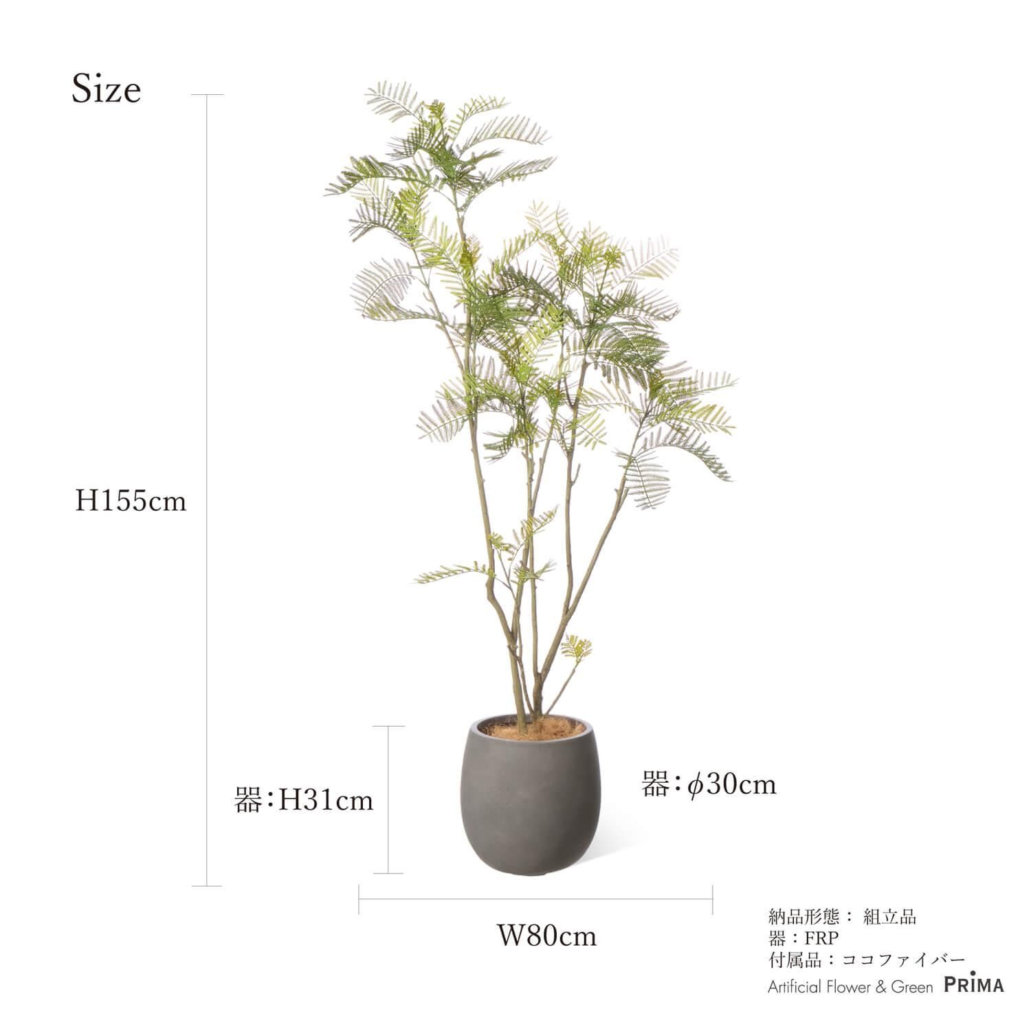Сեå åݥå H155cm 졼 տʪ ե꡼ Ҹľʡ<img class='new_mark_img2' src='https://img.shop-pro.jp/img/new/icons1.gif' style='border:none;display:inline;margin:0px;padding:0px;width:auto;' />