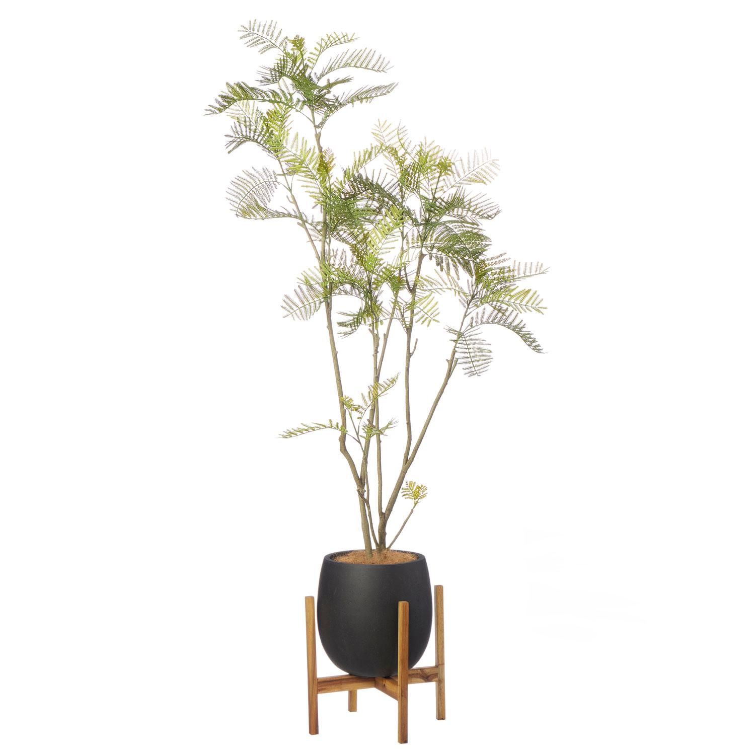 Сեå åݥåȵ H170cm ֥å տʪ ե꡼ Ҹľʡ<img class='new_mark_img2' src='https://img.shop-pro.jp/img/new/icons1.gif' style='border:none;display:inline;margin:0px;padding:0px;width:auto;' />