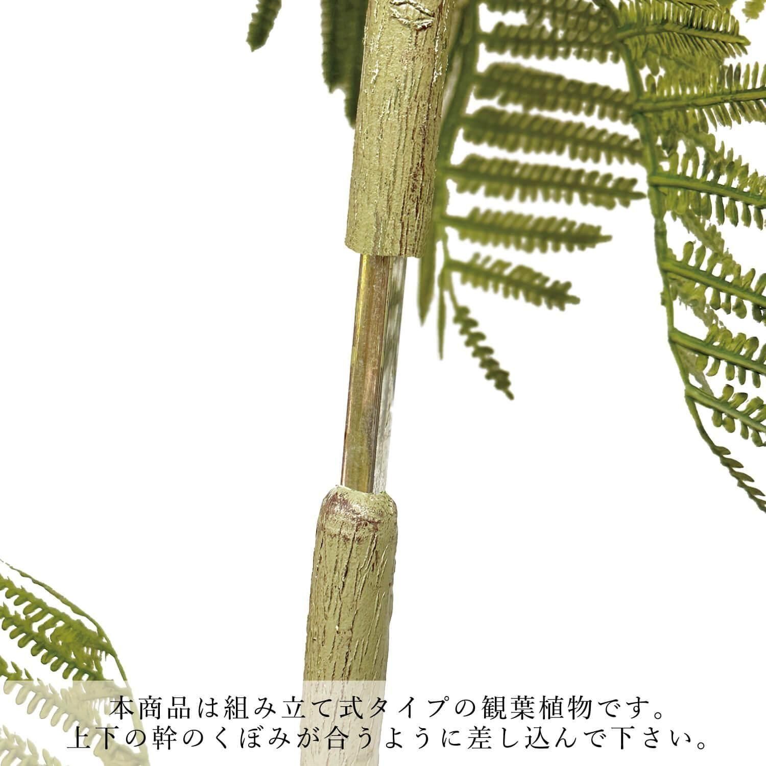 Сեå åݥåȵ H170cm ֥å տʪ ե꡼ Ҹľʡ<img class='new_mark_img2' src='https://img.shop-pro.jp/img/new/icons1.gif' style='border:none;display:inline;margin:0px;padding:0px;width:auto;' />