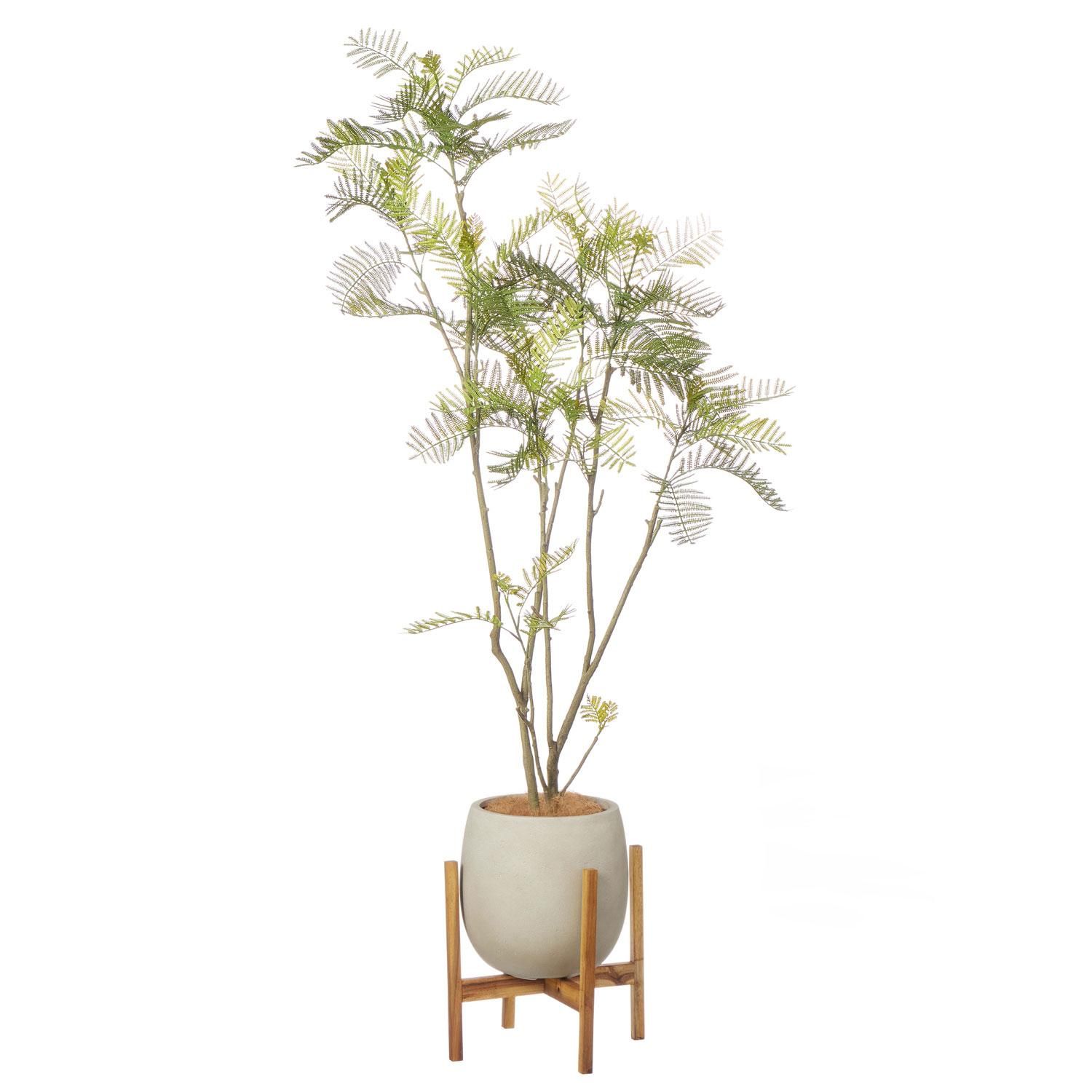 Сեå åݥåȵ H170cm ܥ꡼ տʪ ե꡼ Ҹľʡ<img class='new_mark_img2' src='https://img.shop-pro.jp/img/new/icons1.gif' style='border:none;display:inline;margin:0px;padding:0px;width:auto;' />